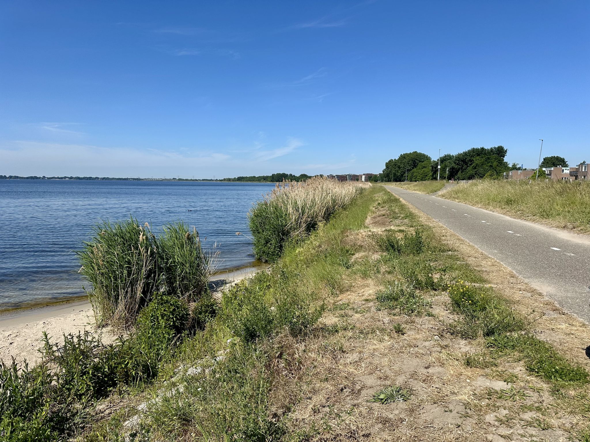 Blick auf das Gooimeer