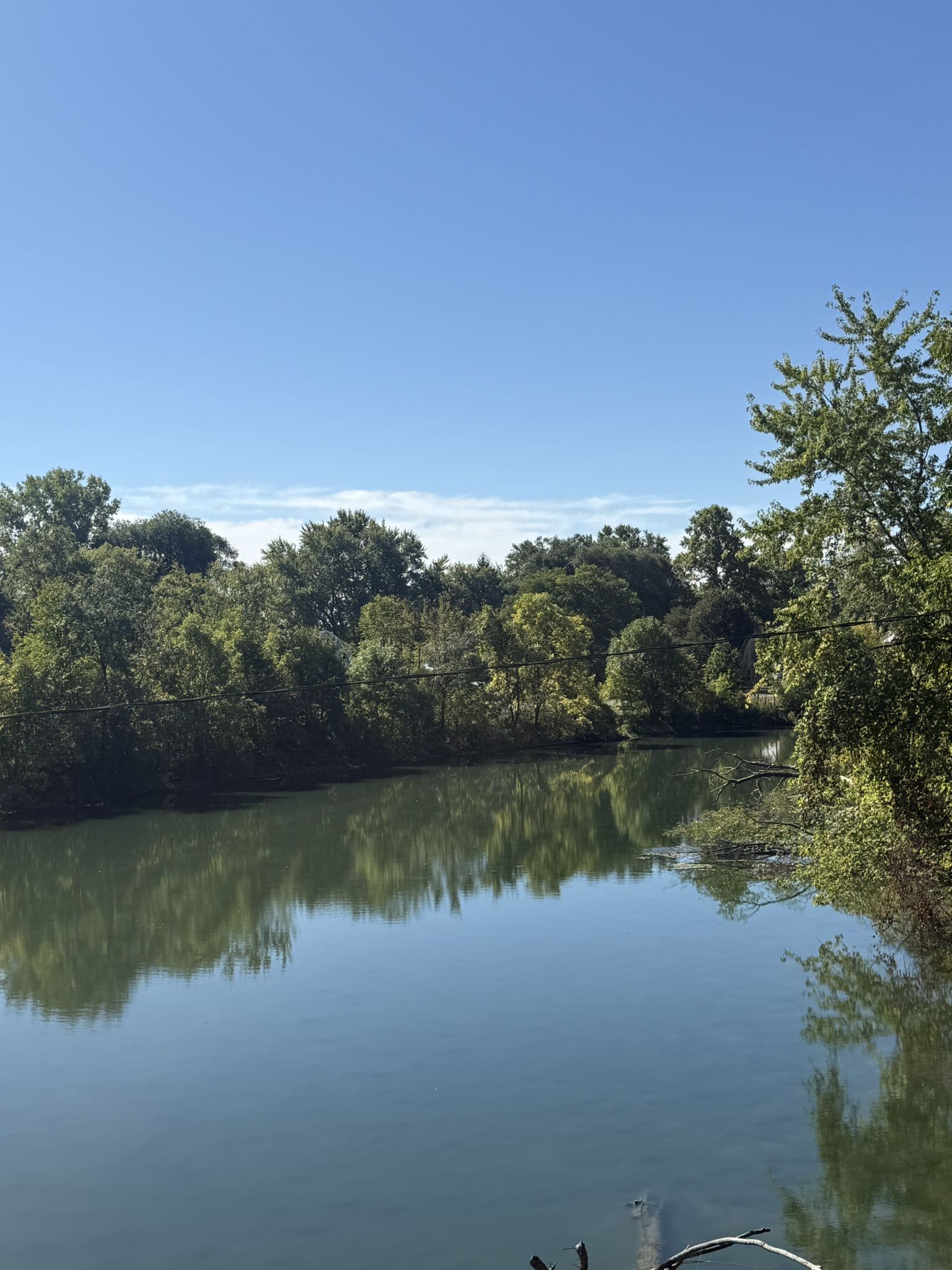 A calm river reflecting dense green trees under a clear blue sky. - Ellicott Creek and Canalway Trail Loop
