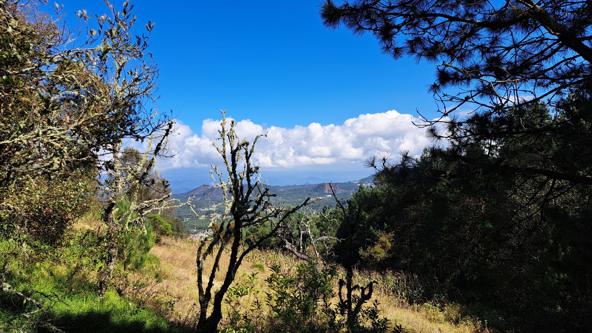 Punto Panorámico