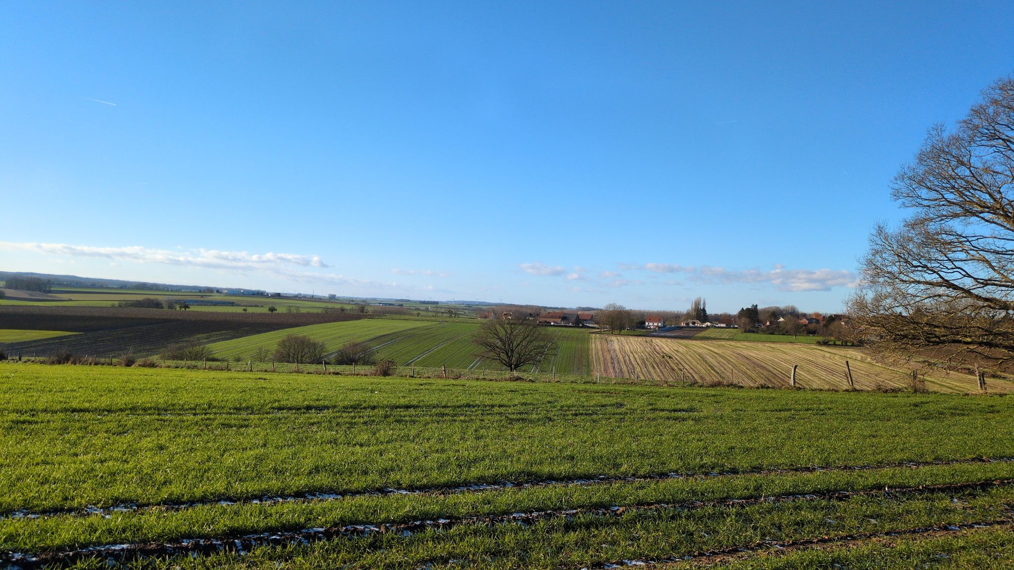 Vue sur pplemm