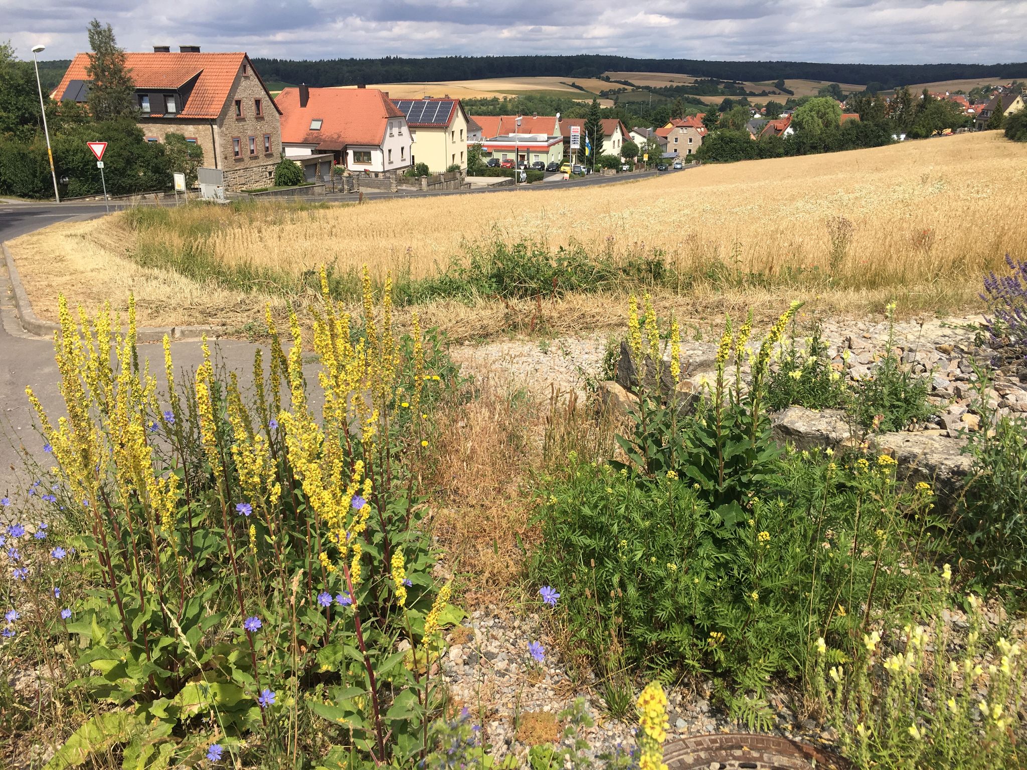 Kleinrinderfeld