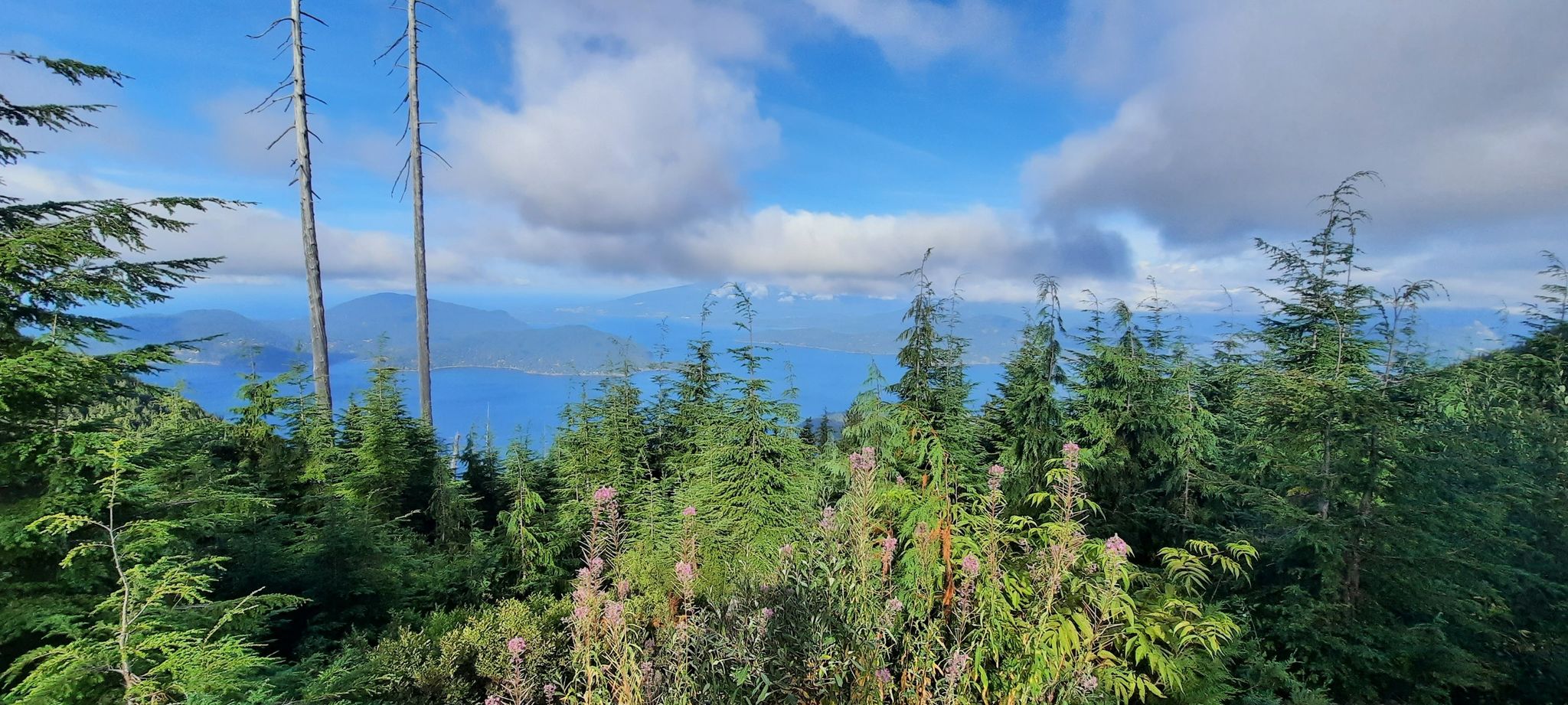 Bowen Lookout
