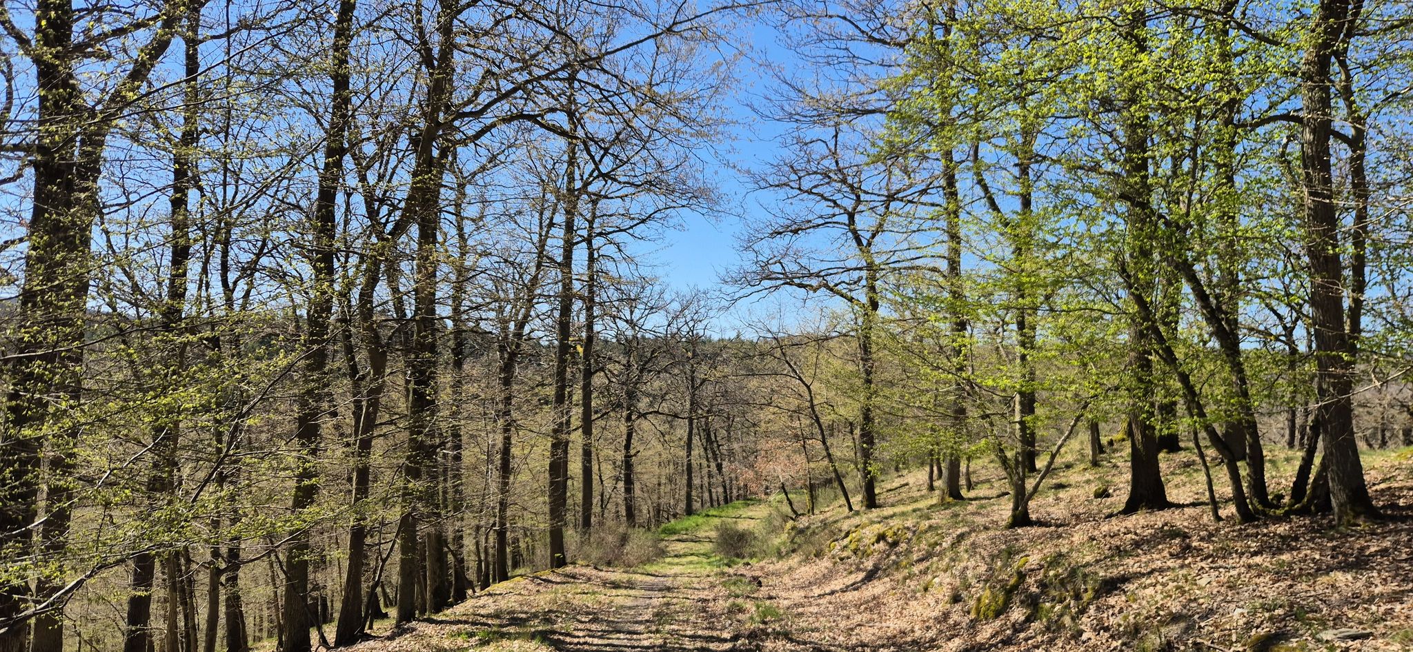 Abstieg ins Steinbachtal