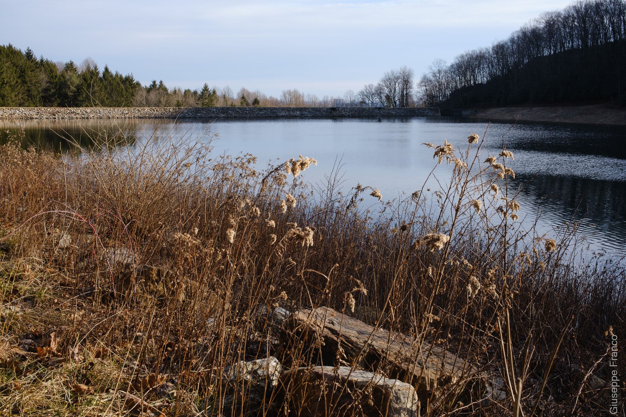 A lake with dry grass in the foreground, surrounded by bare trees. - Pulpit Rock Loop via Furnace Creek Trail