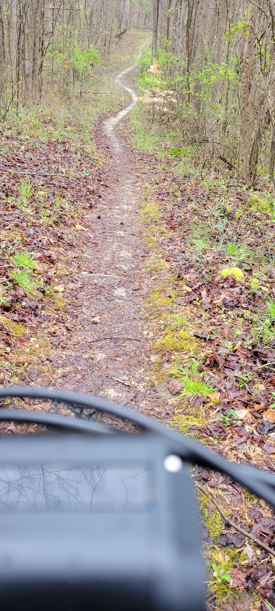 View from a bicycle handlebar of a winding dirt path through a forest. - Perimeter Trail Loop loop from Rosaryville State Park