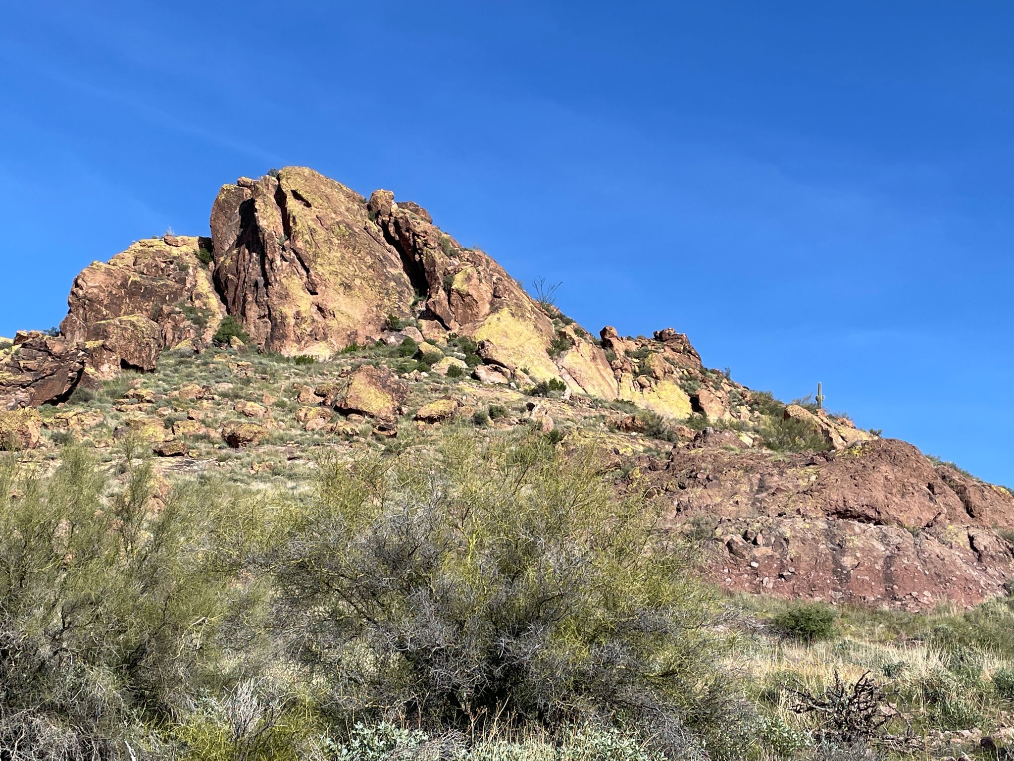 Large rocky mountain under a clear blue sky with desert brush in the foreground. - Massacre Falls Trail