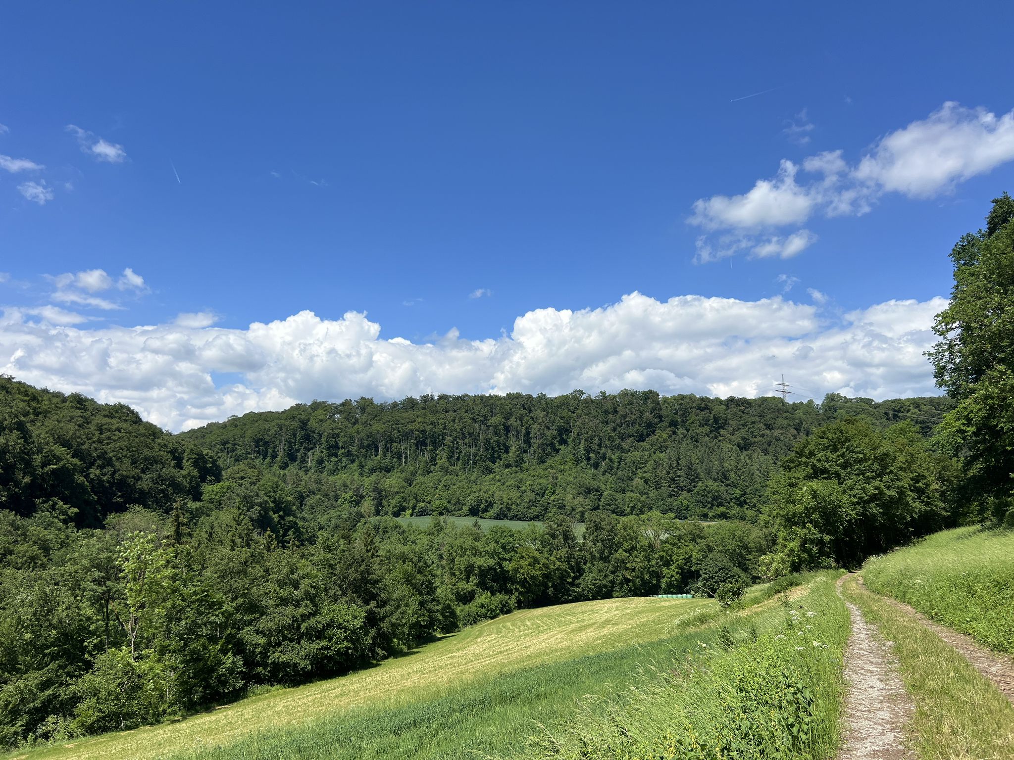 Blick ins Tal des Eschentaler Baches.