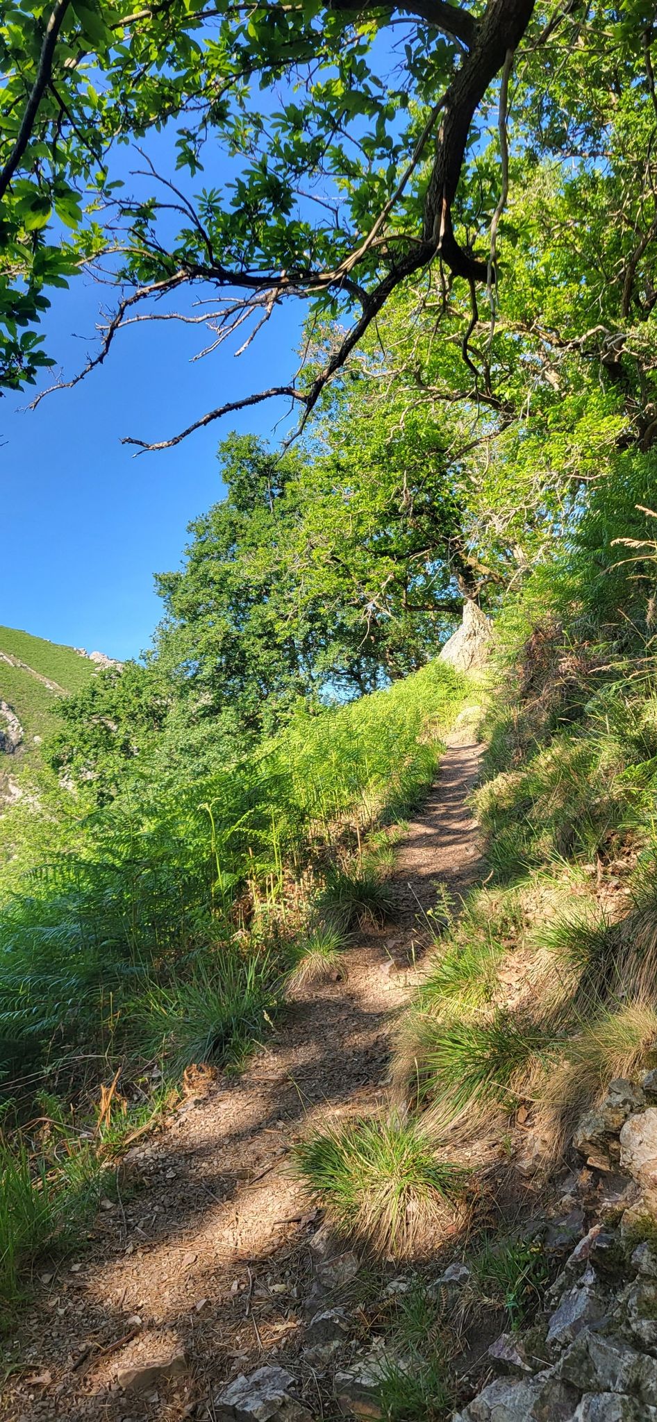 seguimos ascendió por el sendero cuesta arrancar