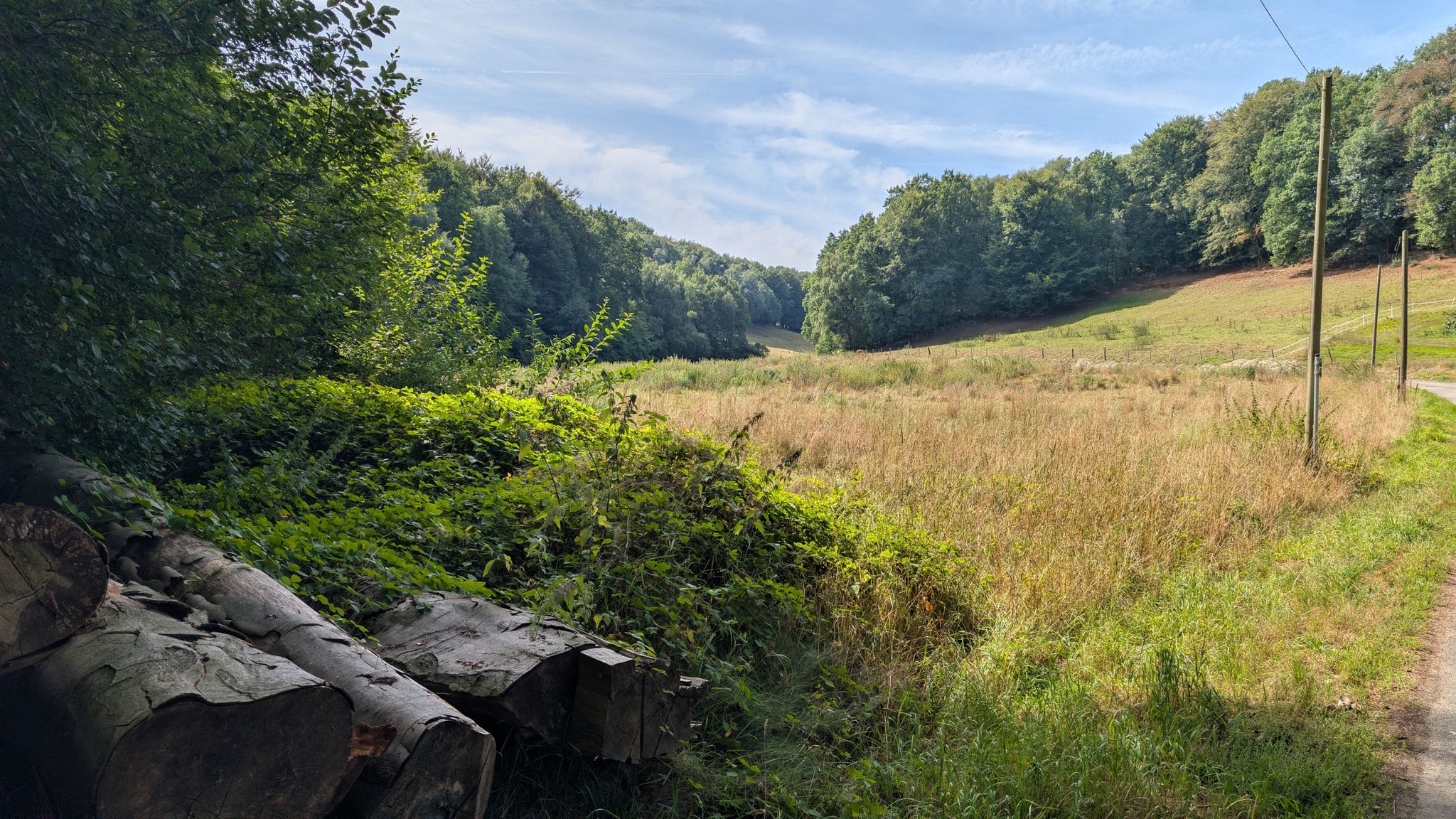 Blick ins Ölmühlental