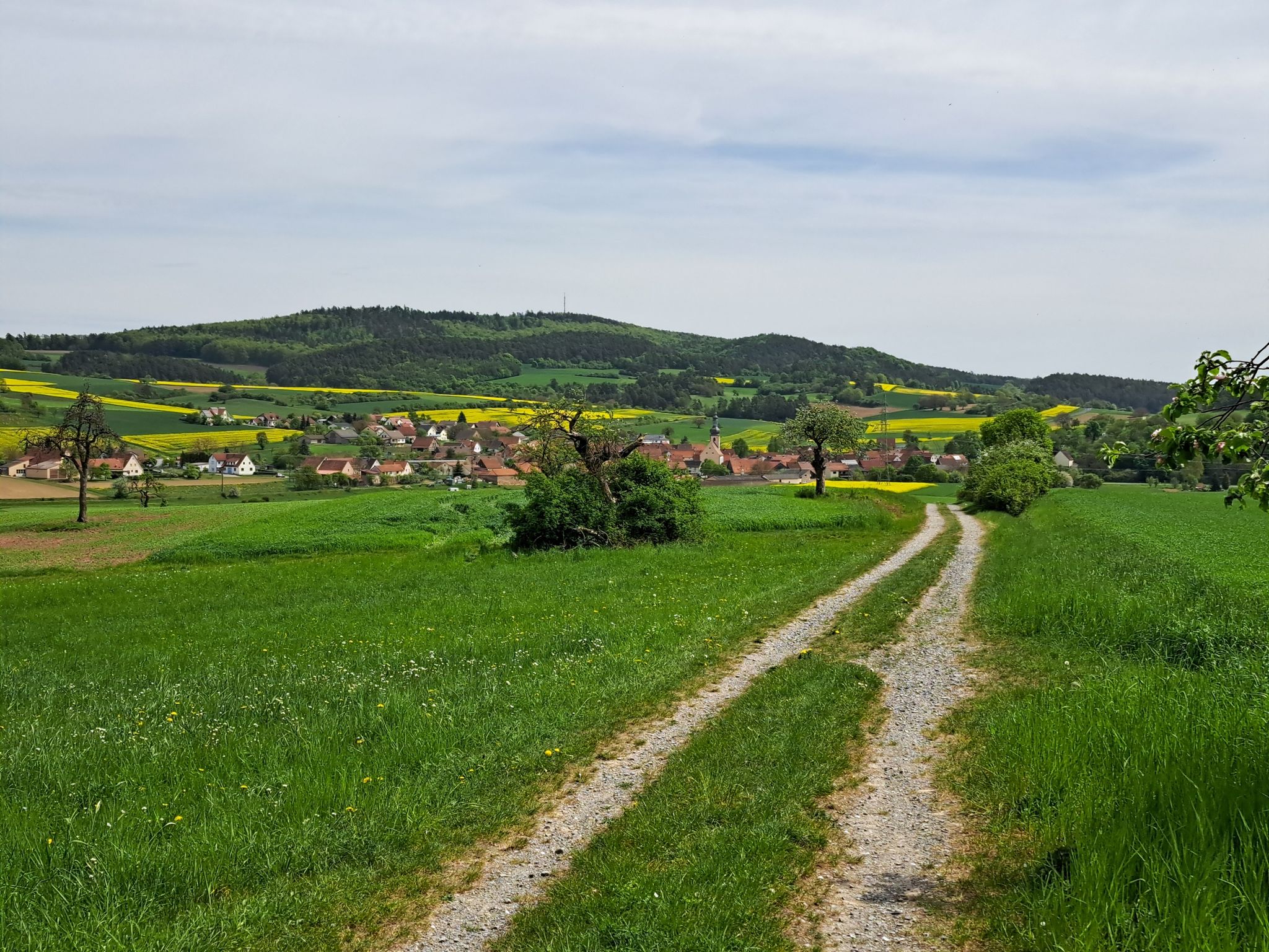 Unterwaldbehrungen