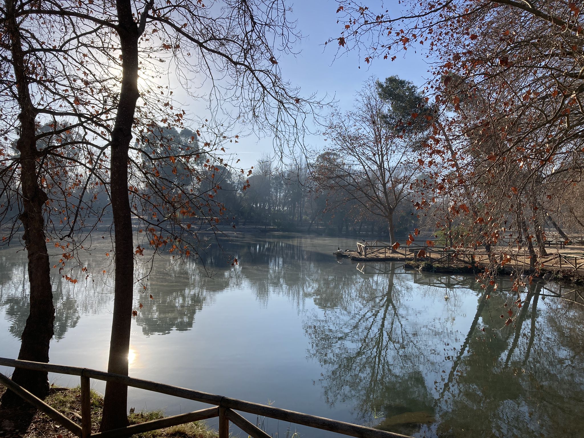 La Albufera de Anna