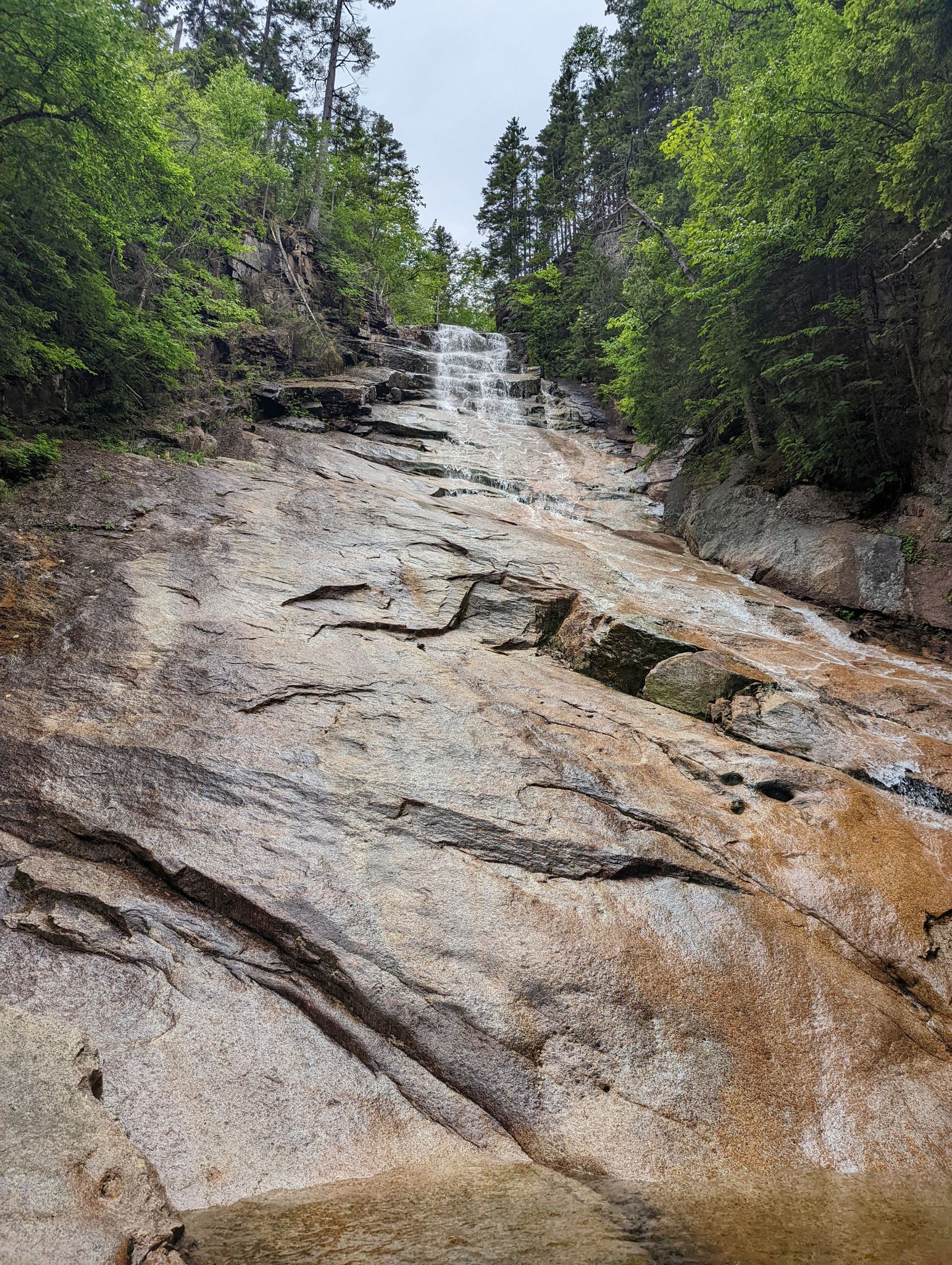 Waterfall cascades down a wide, wet rock face in a green forest. - Ripley Falls Trail