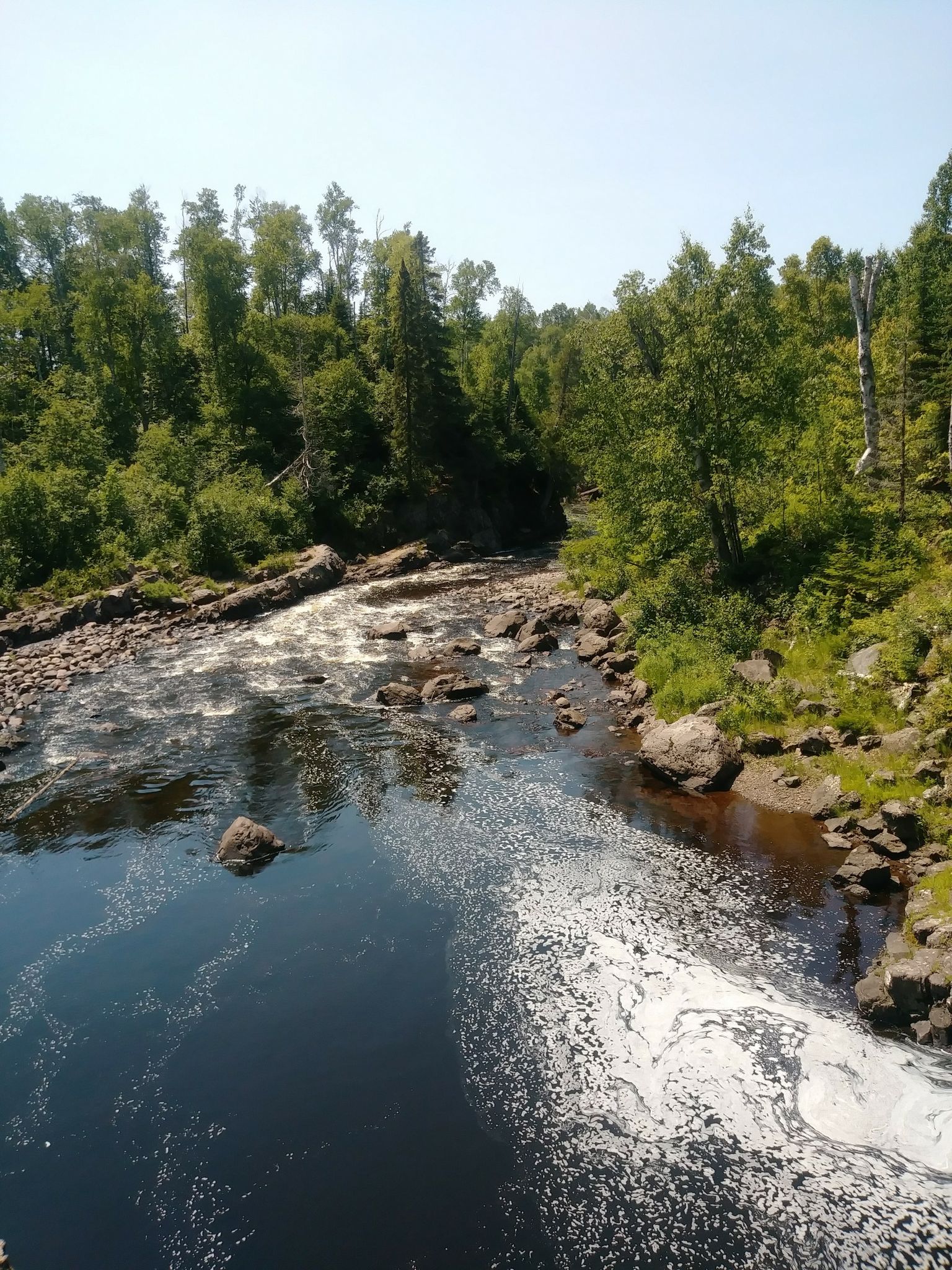 A wide river with foamy water flows through a lush green forest on a sunny day. - Temperance River Falls Loop