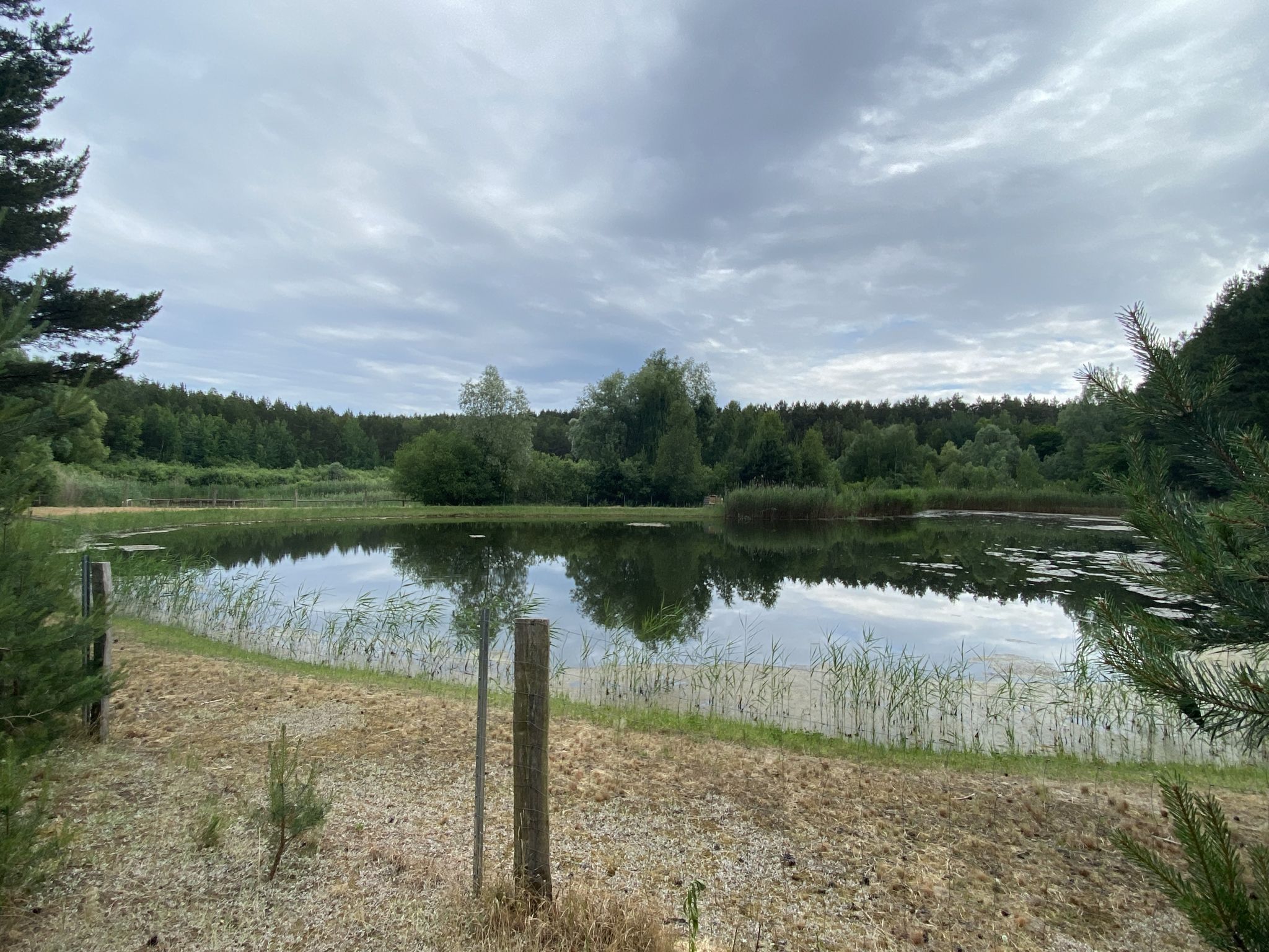 Teich im Krämer Forst