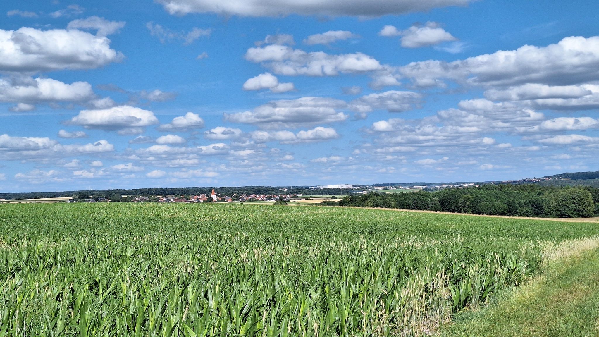 Blick auf Flozheim dahinter Monheim
