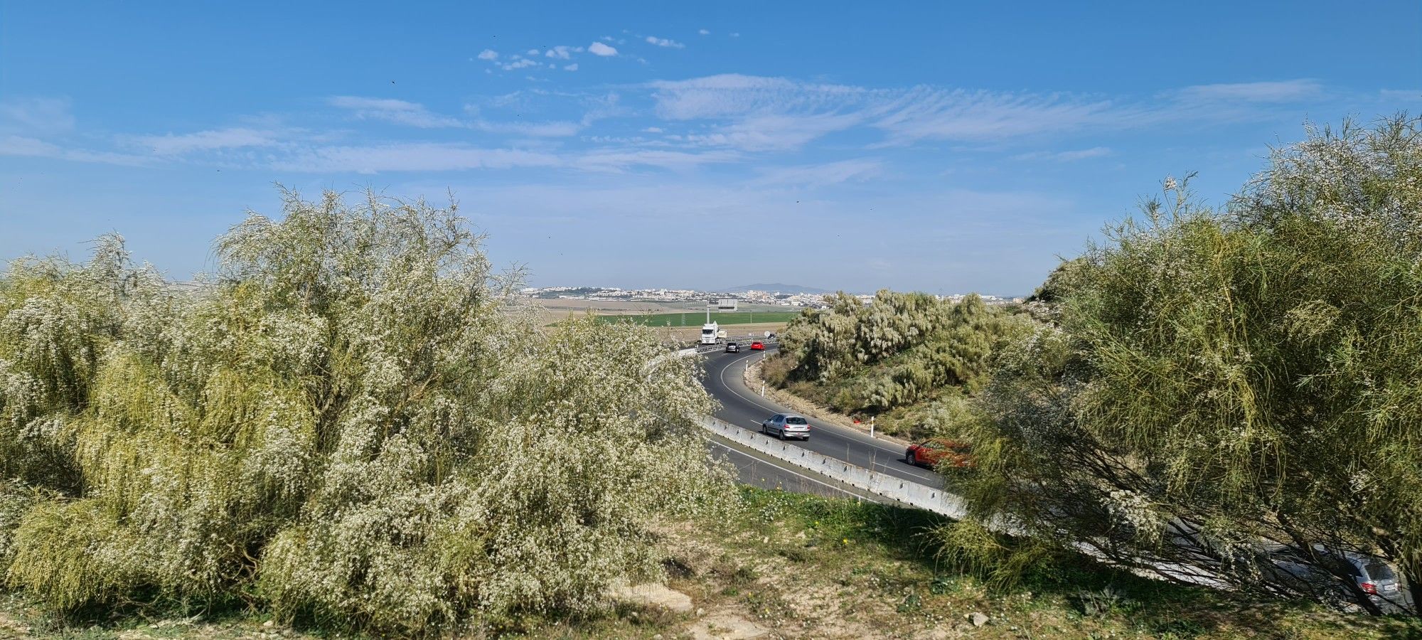jerez
