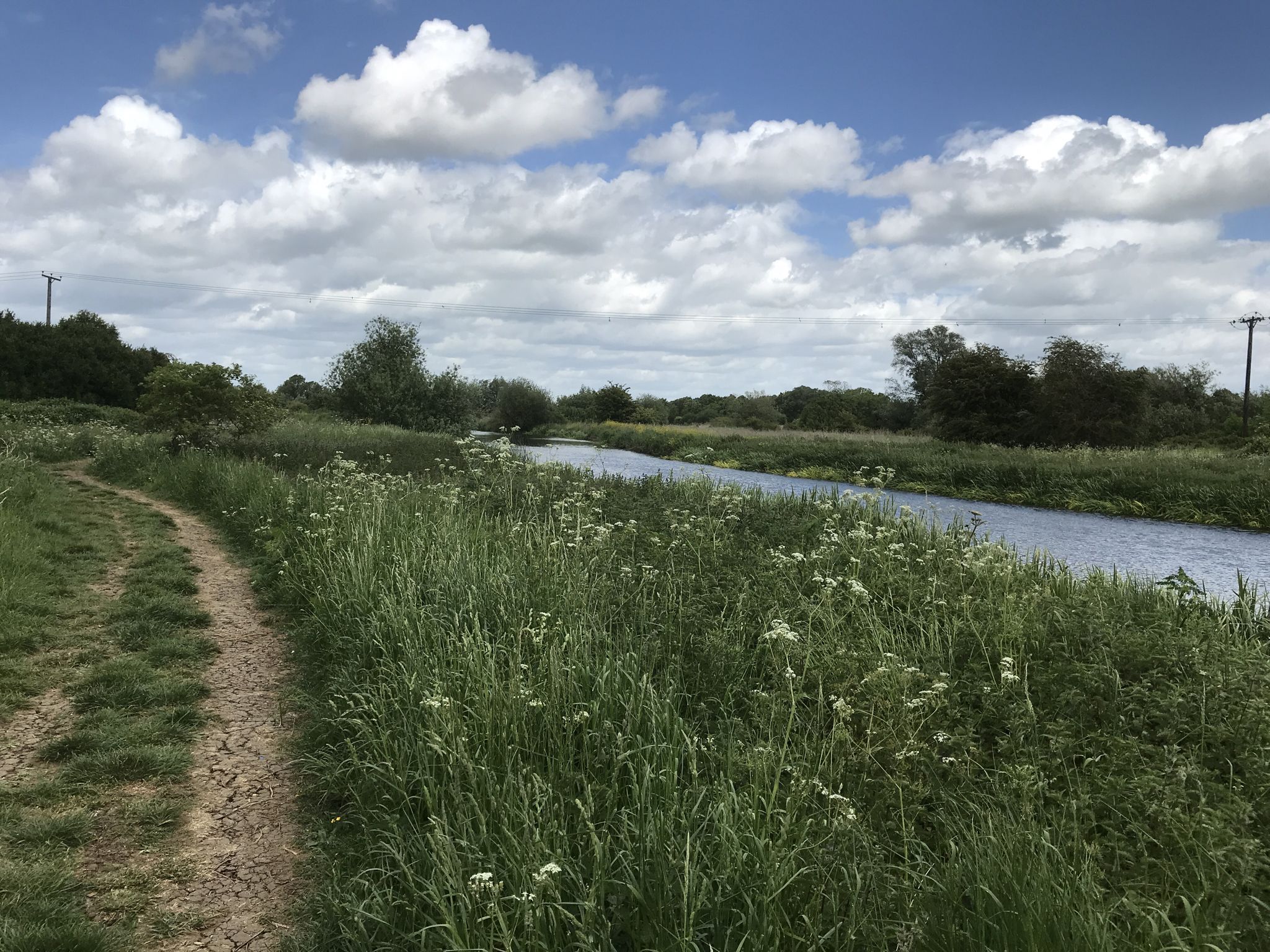 Path alongside the River Nene