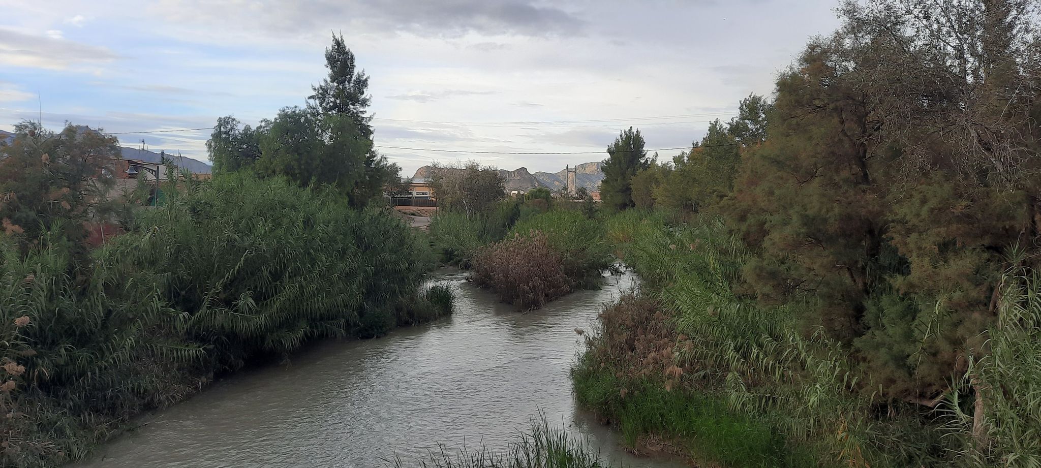 río Segura