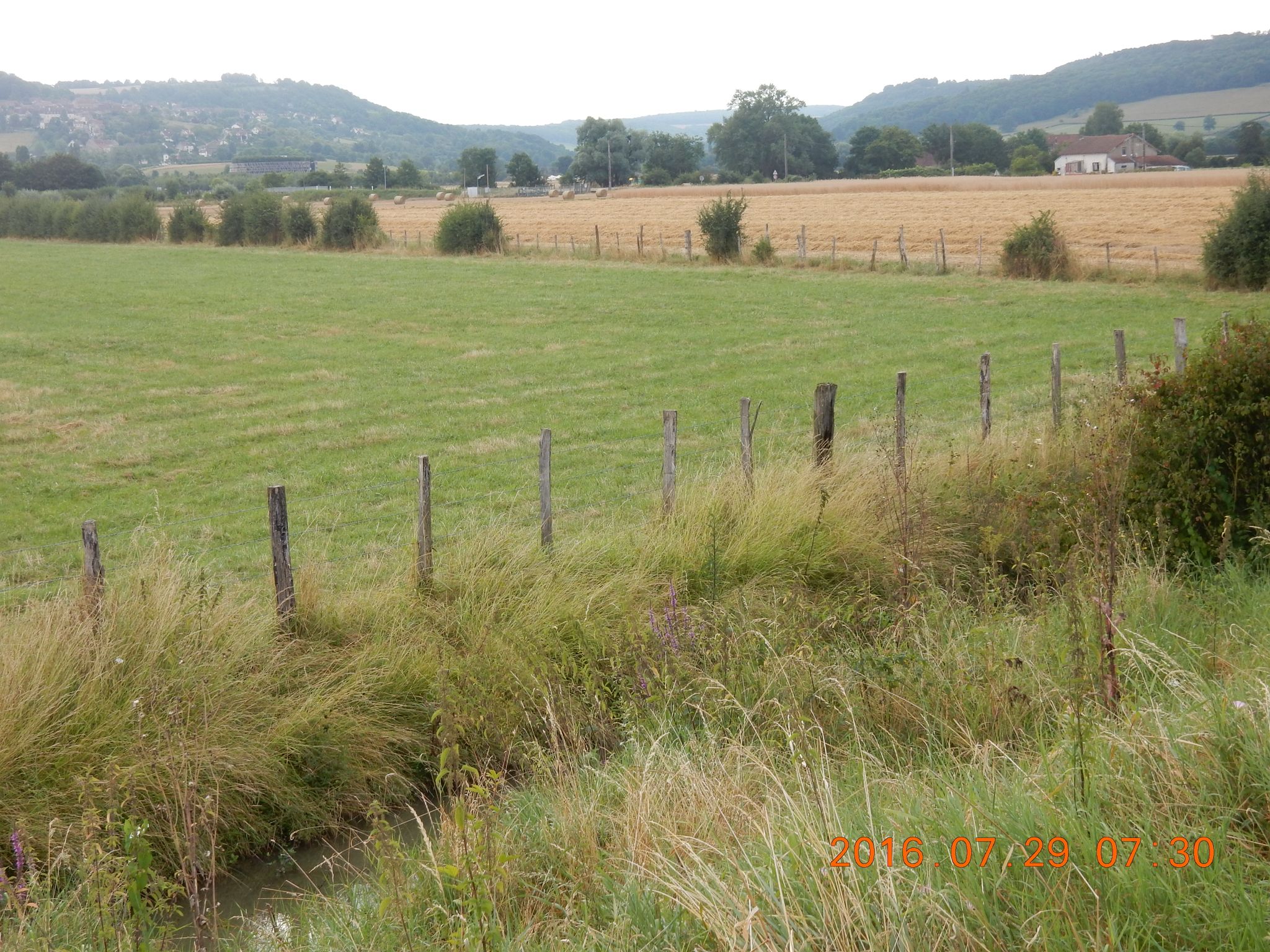Sommerlandschaft