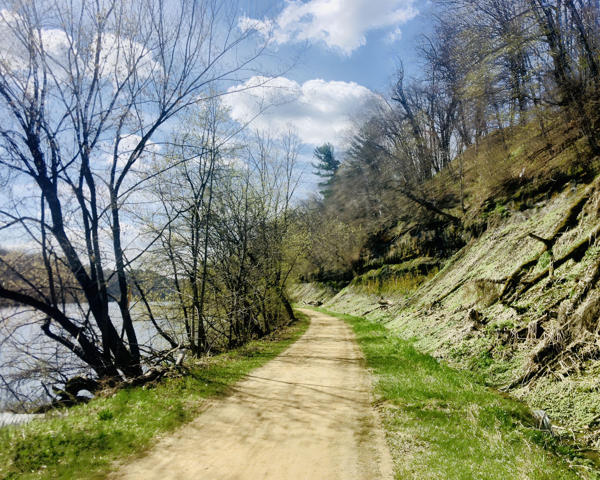 Sunny dirt path next to a river, steep wooded bank, and bare trees. - Harvey Hill – Devil's Punchbowl loop from Menomonie