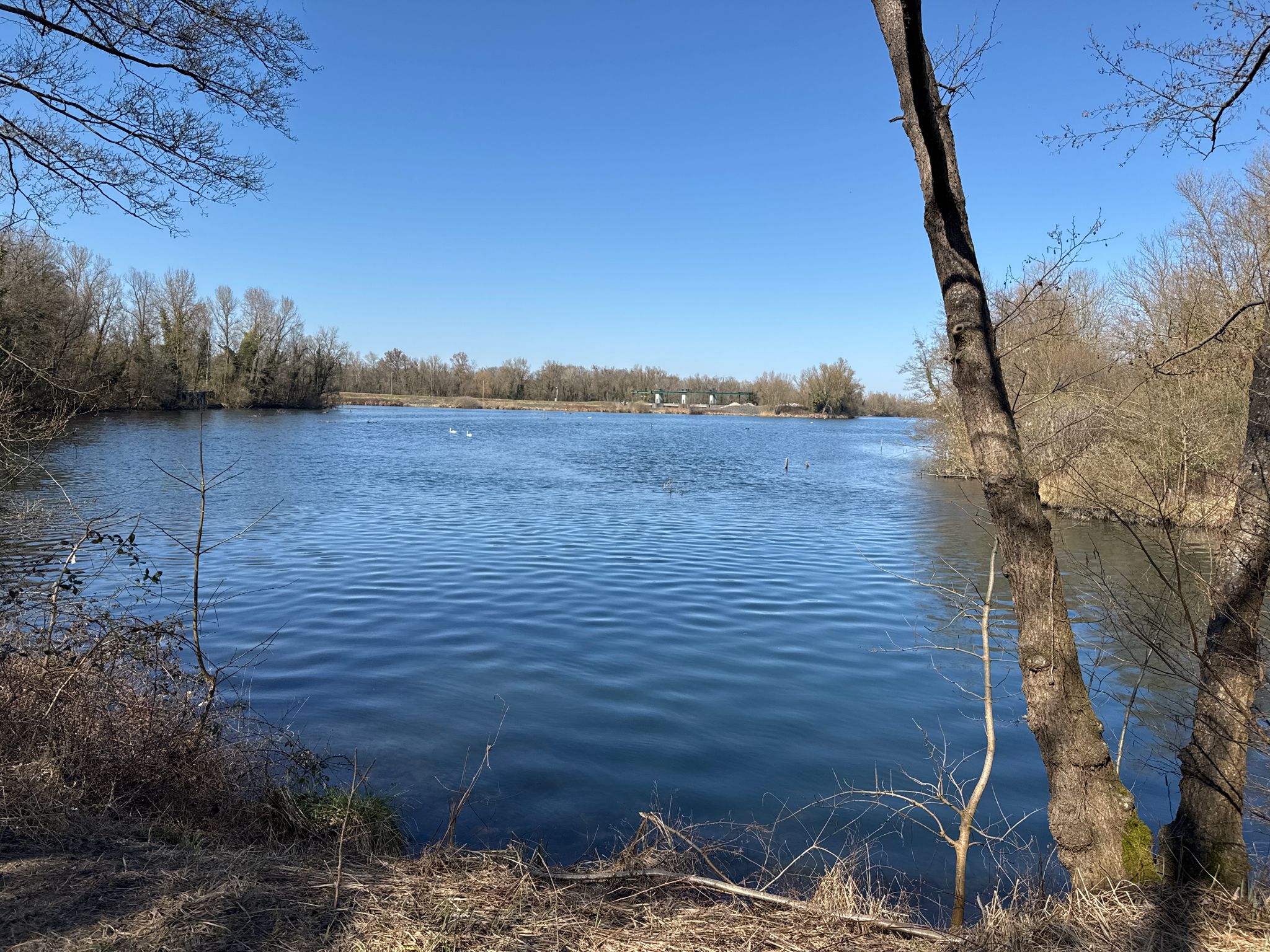 Im Naturschutzgebiet Plobsheimer See