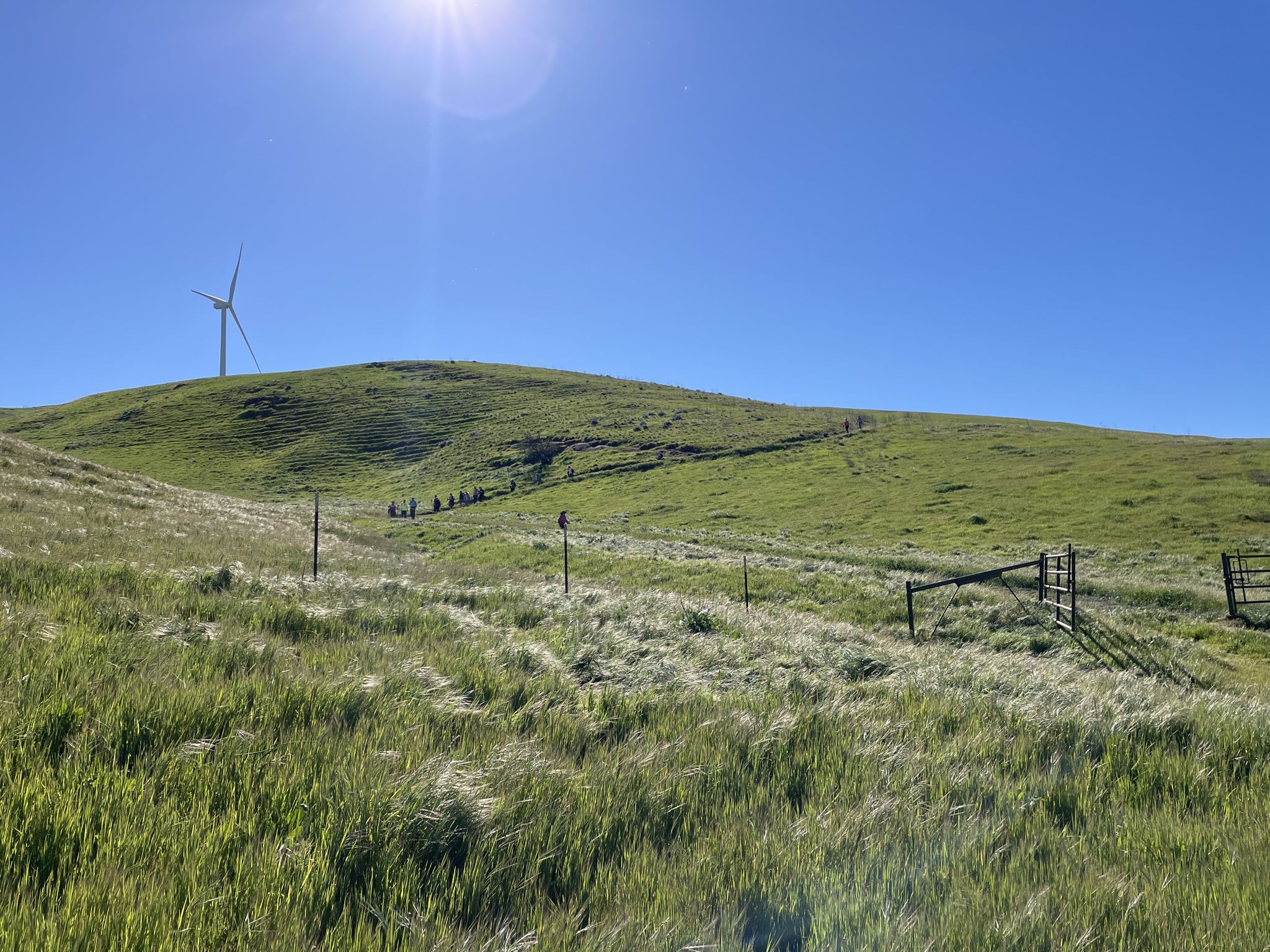 Sunny green hills with a wind turbine, fence, and people hiking uphill. - Brushy Peak Loop Trail