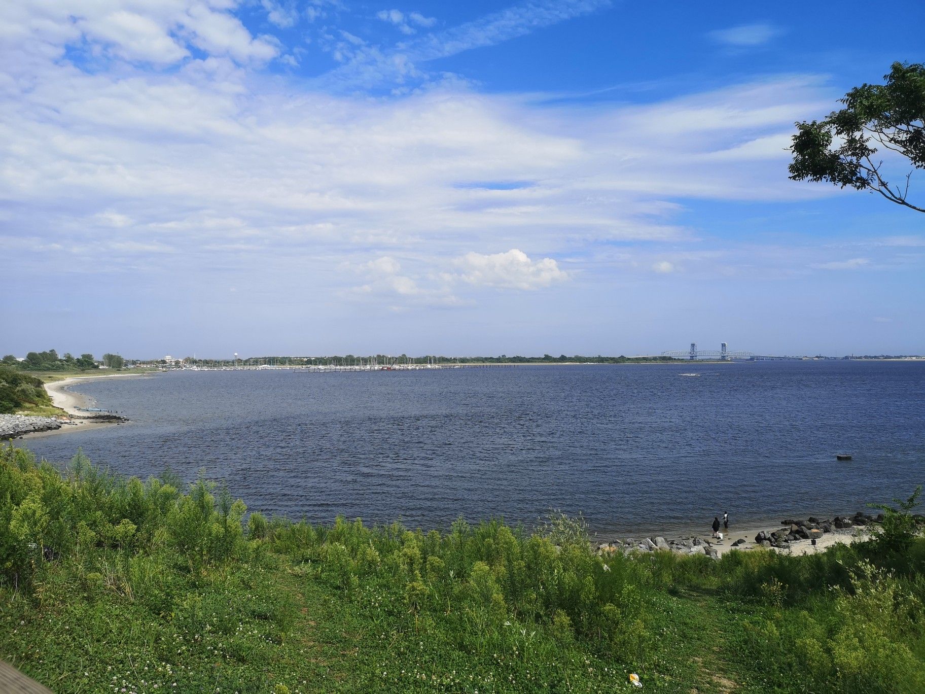 Wide bay view with distant shore, green foliage, and blue sky. - Jamaica Bay Greenway Loop