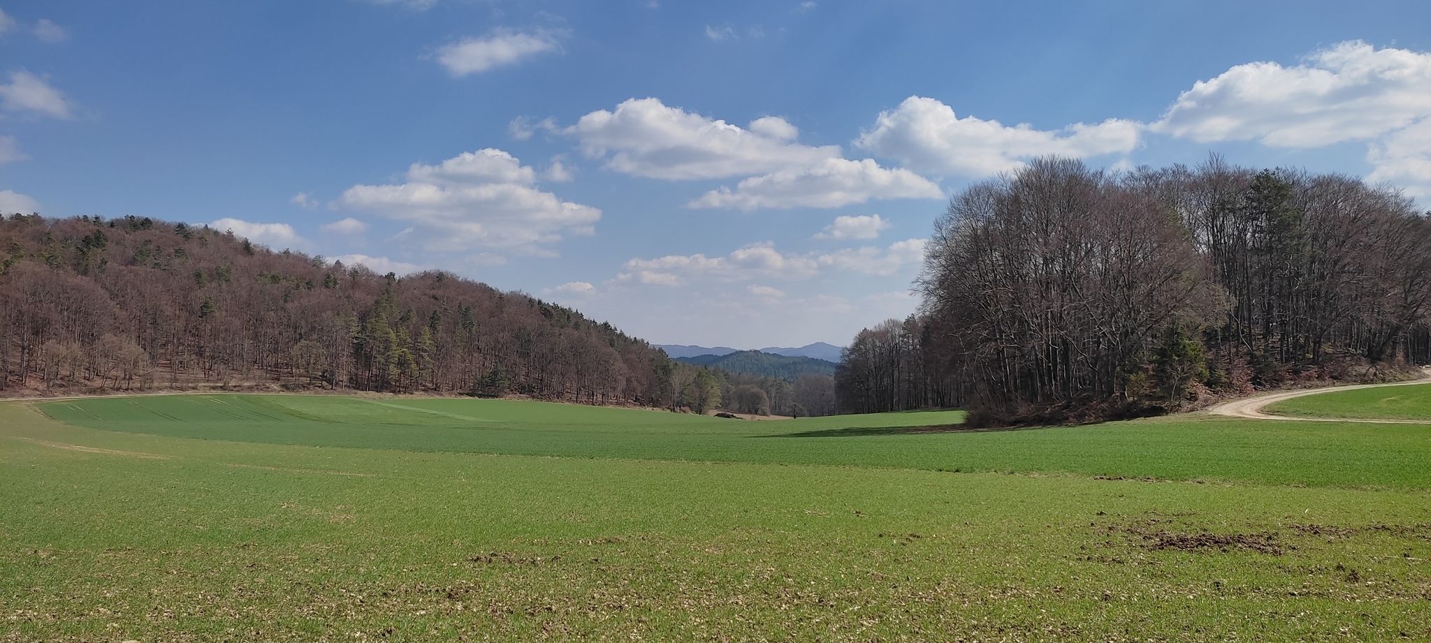 zw. Viehhofen u. Eichenstruth