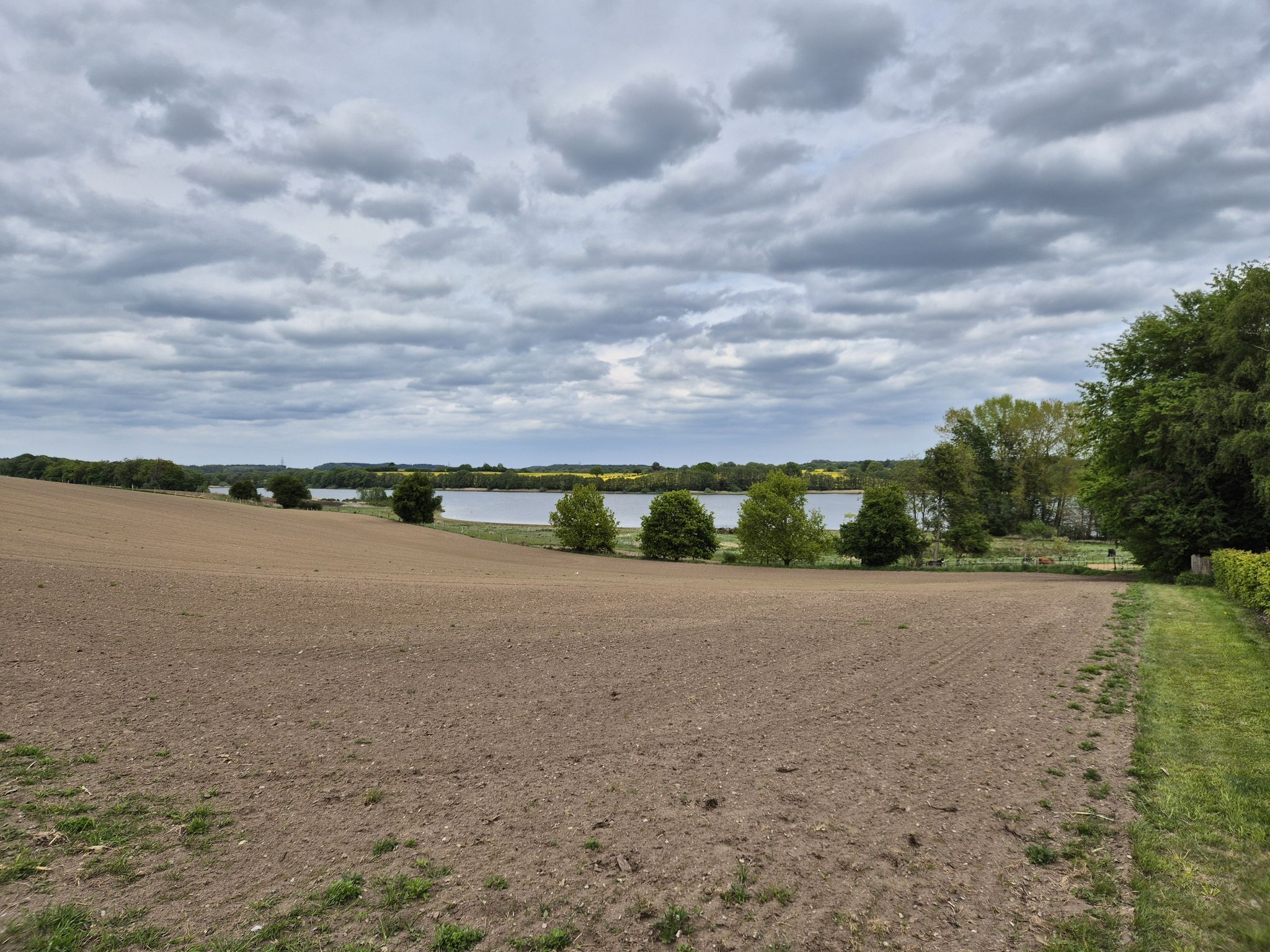 Blick zum Tresdorfer See