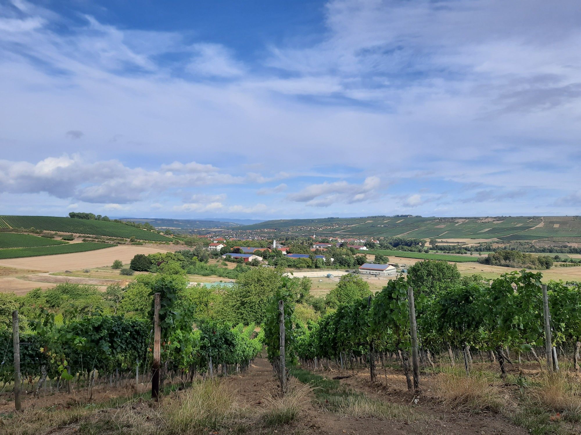 Stadecken