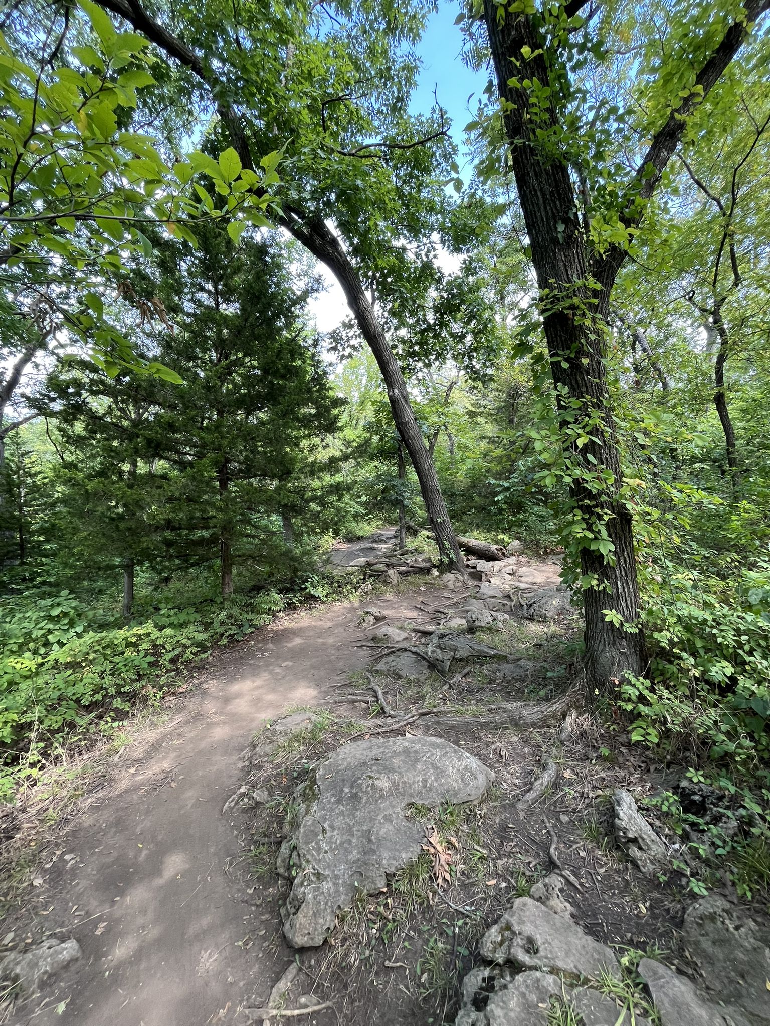 A winding dirt path through a sunlit, rocky forest with green trees. - Red Valleys Trail