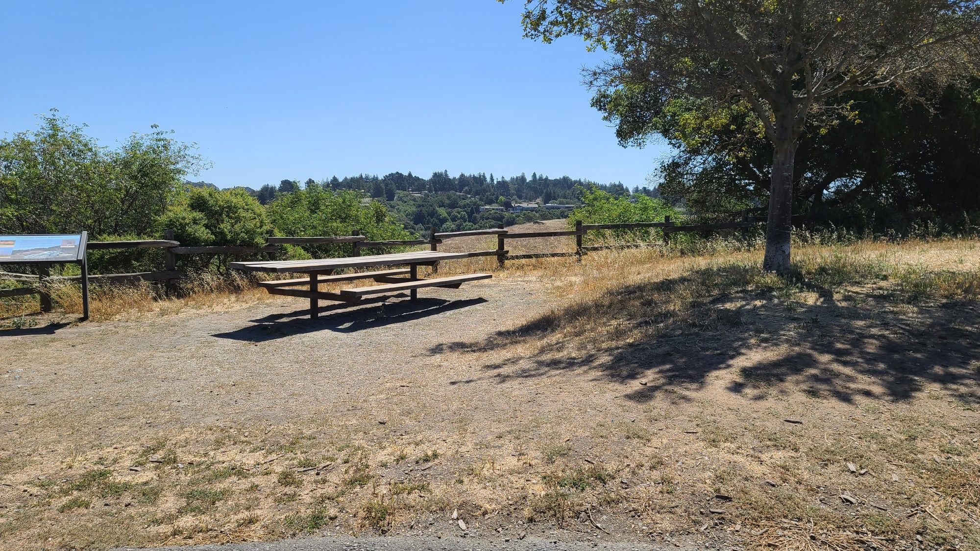 A wooden picnic table sits under a tree in a sunny, open field. - Bike loop from Bishop O'Dowd High School