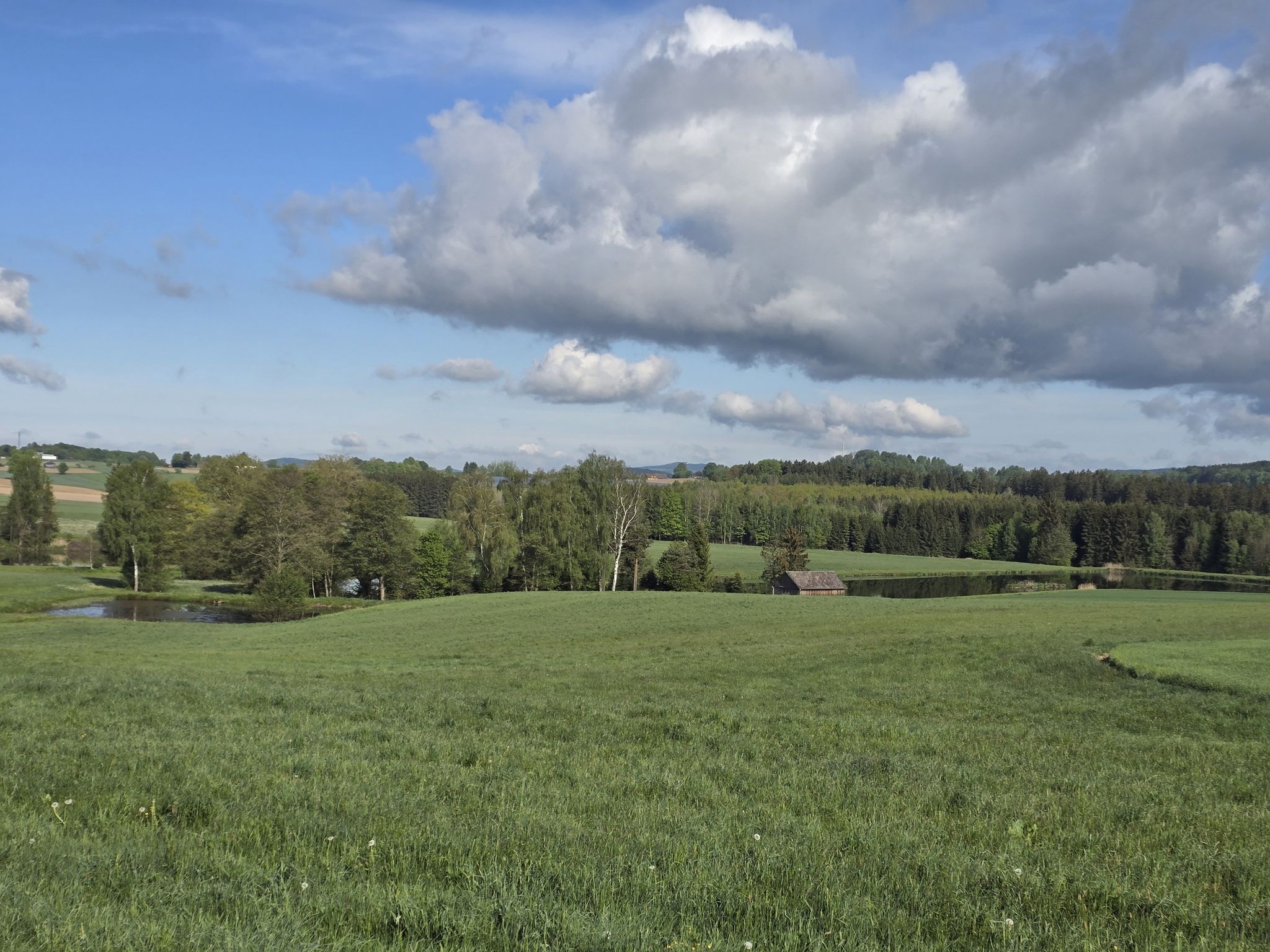 Blick auf den Mahtesenweiher