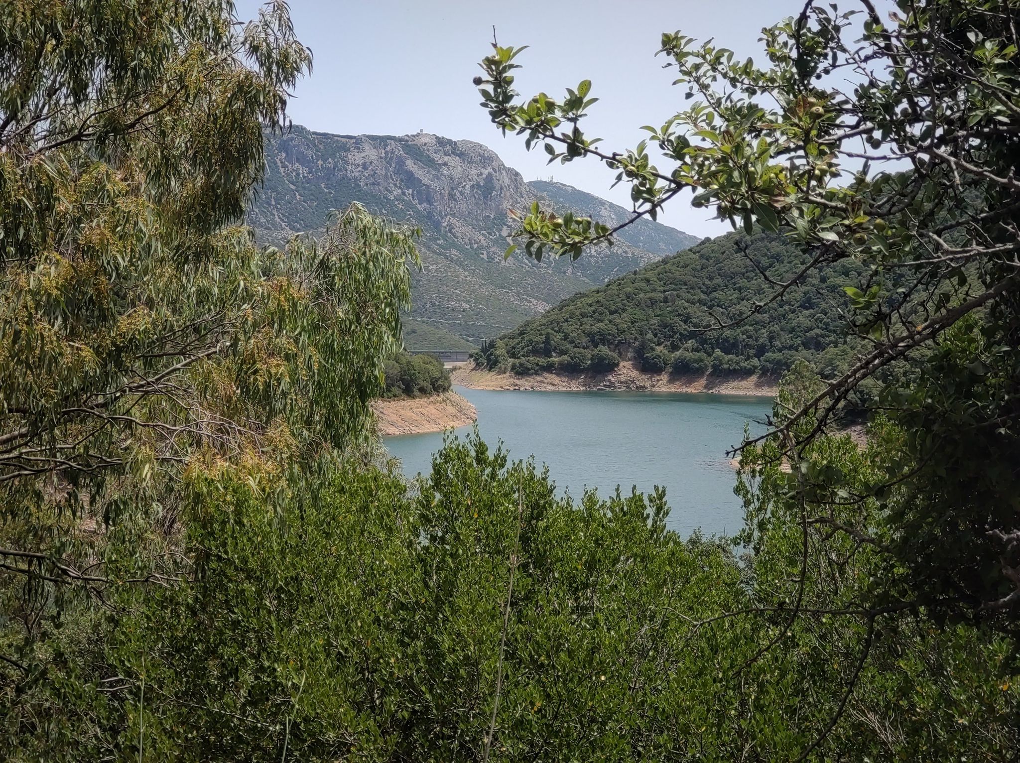 lago Corsi
