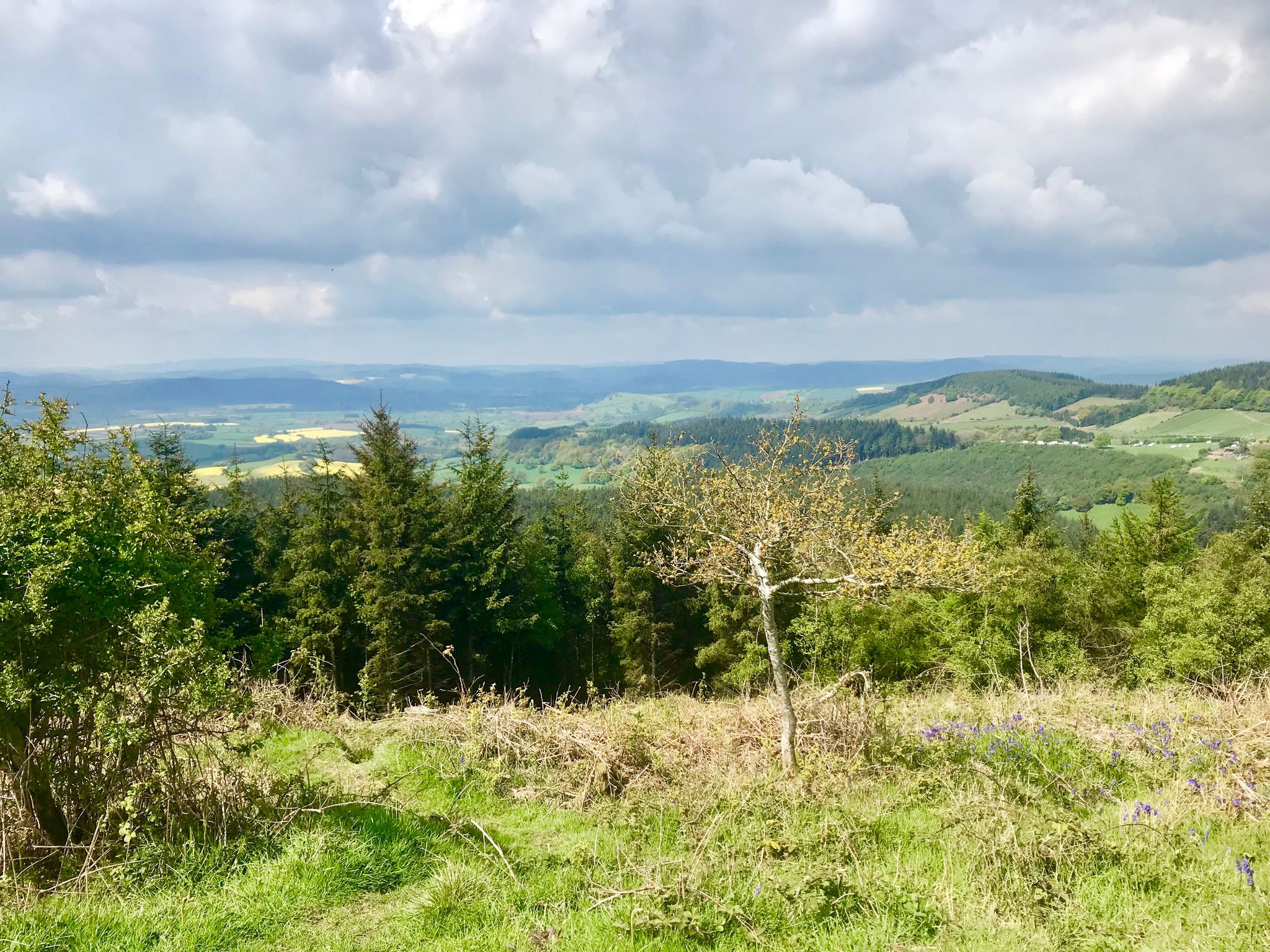 The unmarked top of High Vinnals.