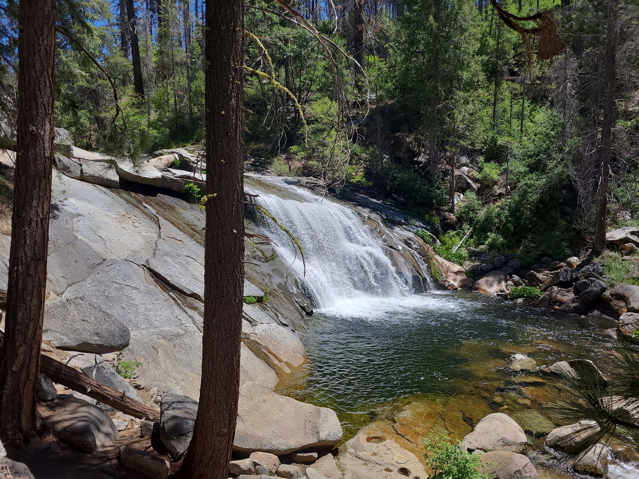 A sunlit waterfall cascades over rocks into a clear pool in a dense forest. - Carlon Falls Trail