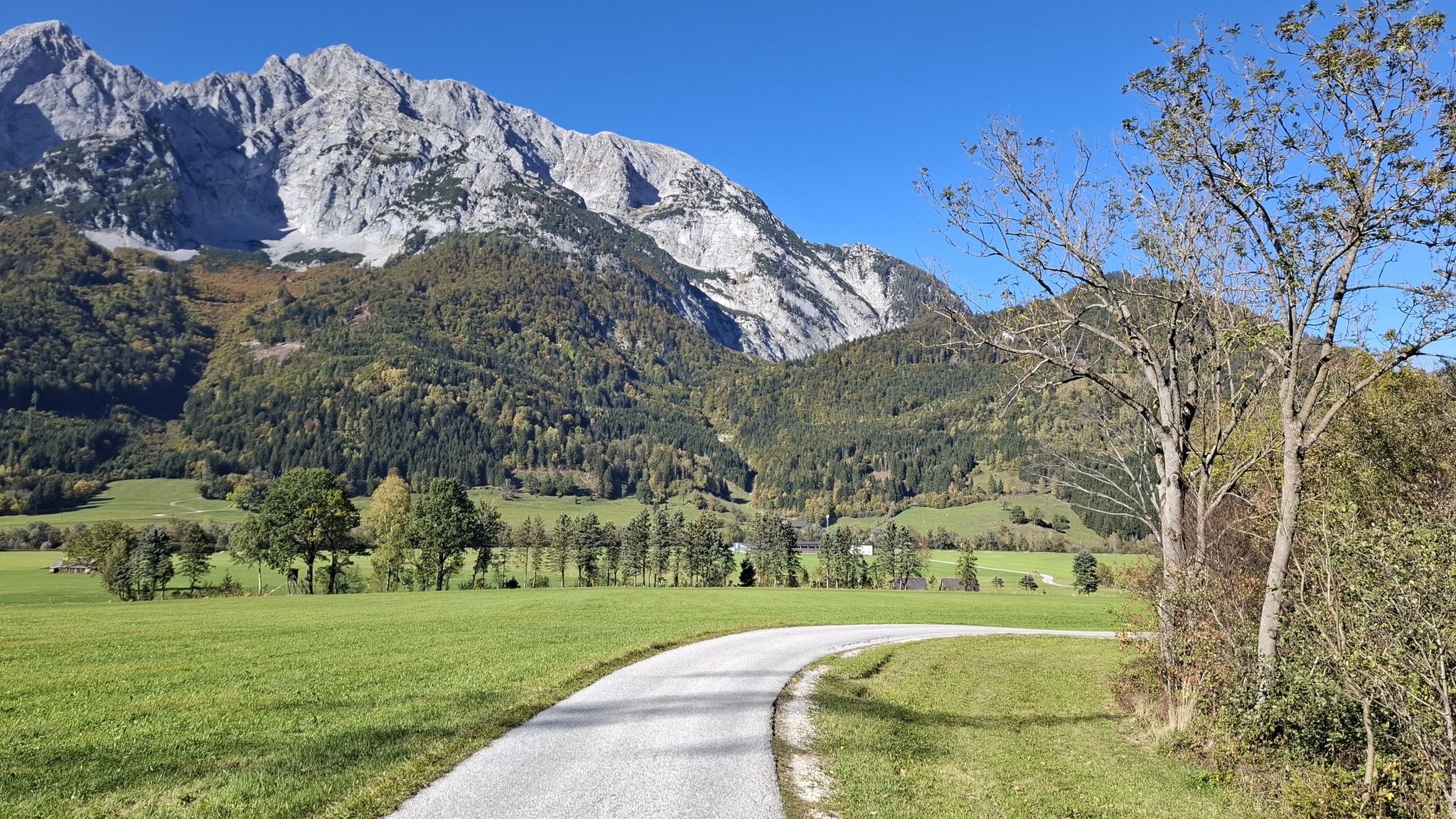Blick zum Grimming, zwischen Niederöblarn und Trautenfels