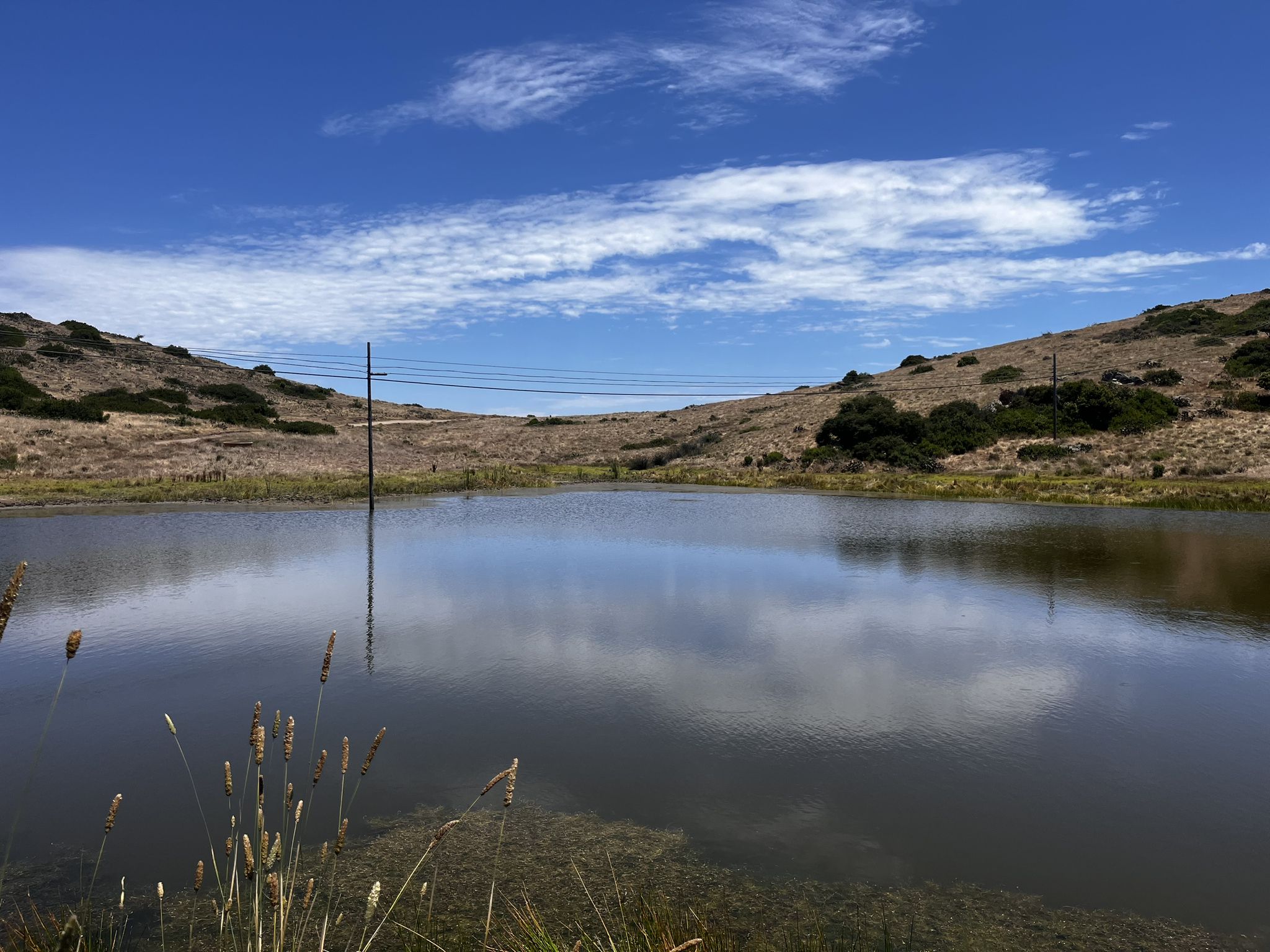 Calm pond reflecting blue sky and dry hills with power lines. - Middle Ranch Road Overlook – Wingley Overlook to Avalon loop from Santa Catalina Island