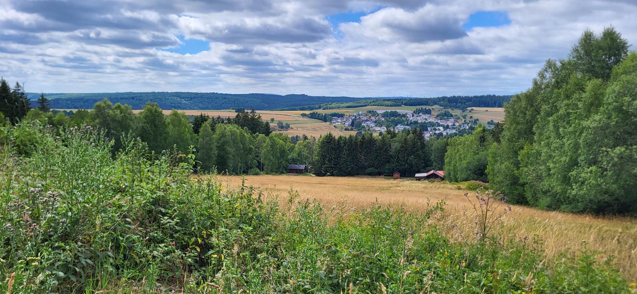 O que fazer em Naturpark Dümmer