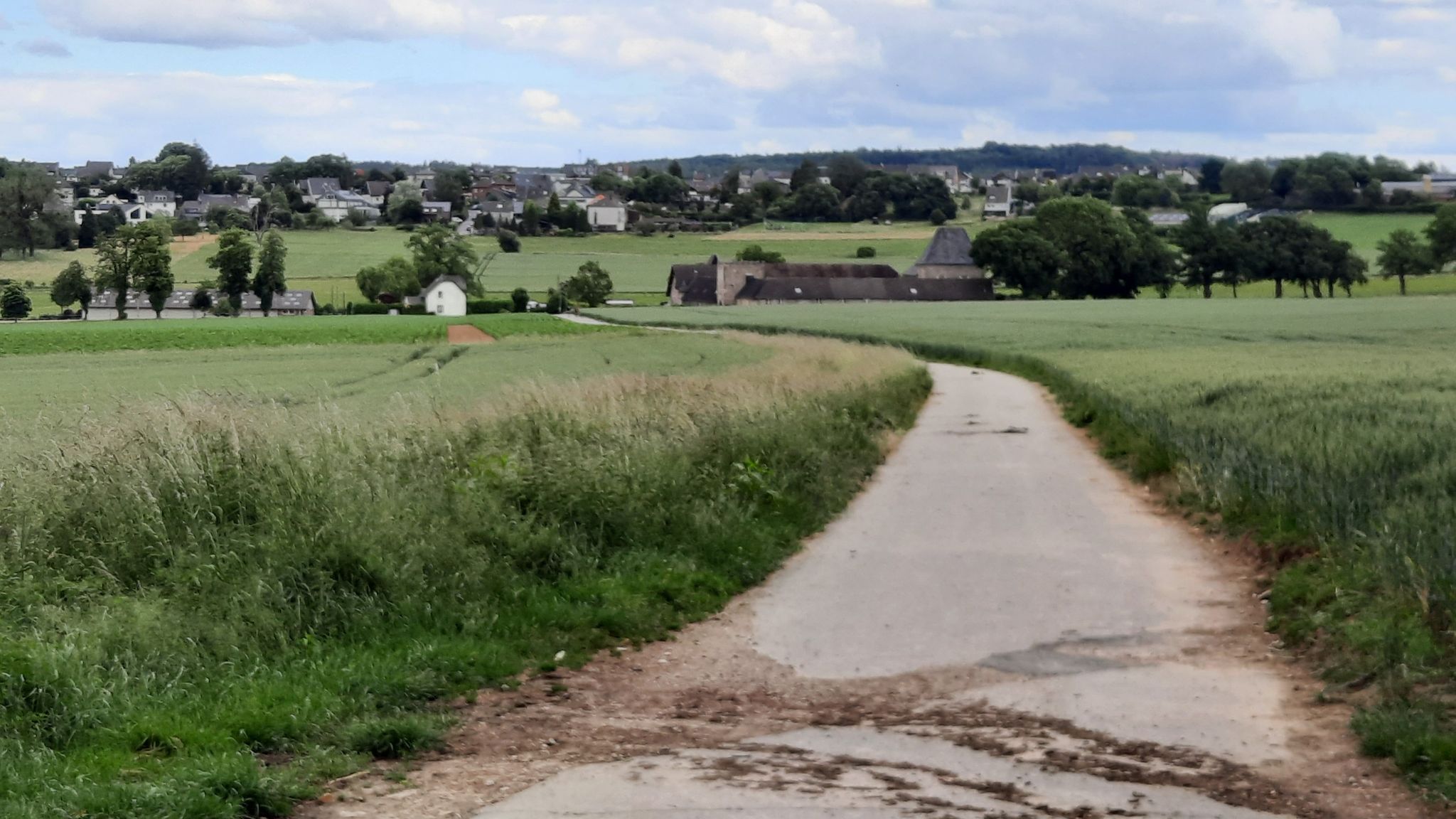 auch Burg Holzheim