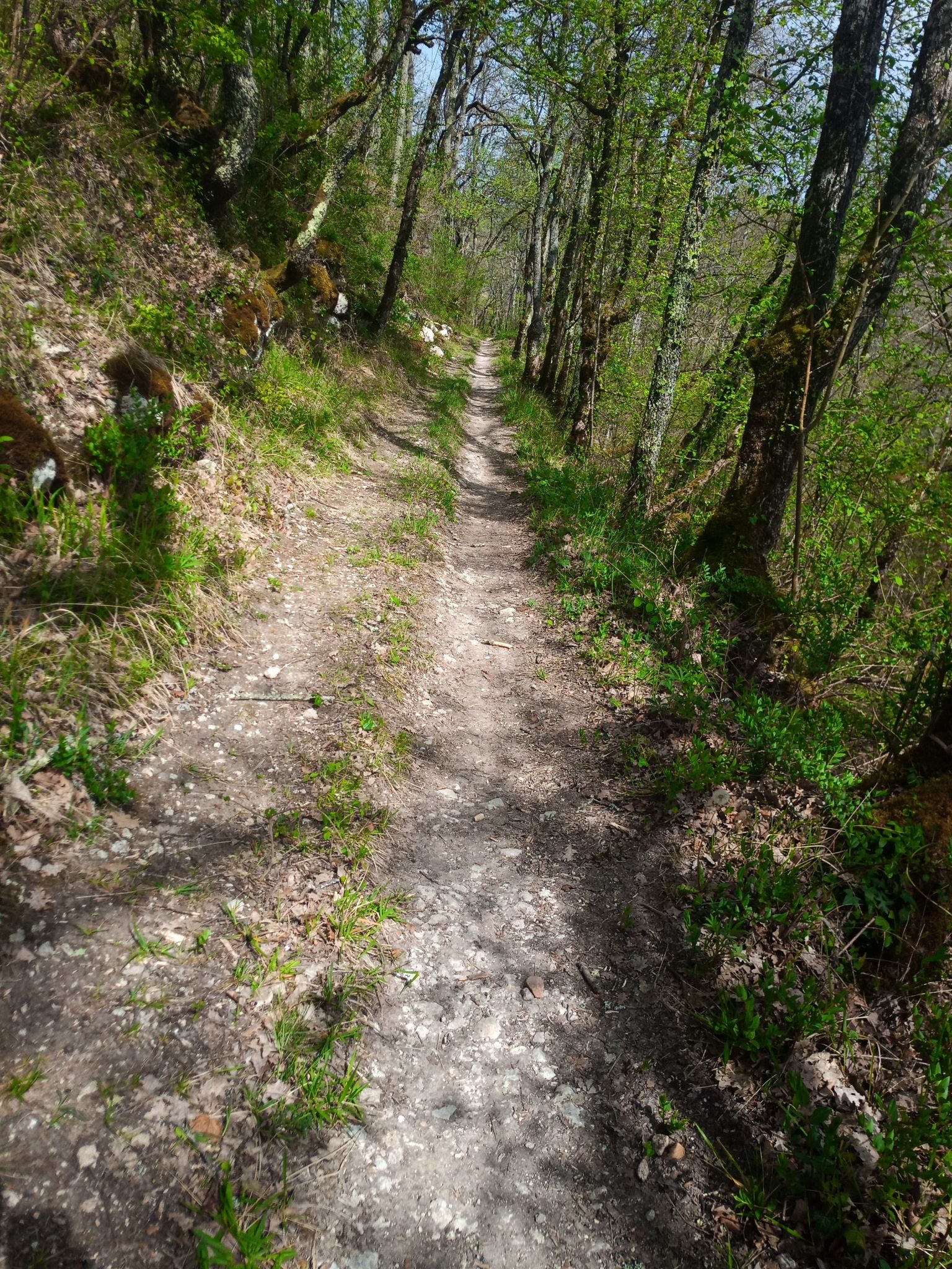 chemin 