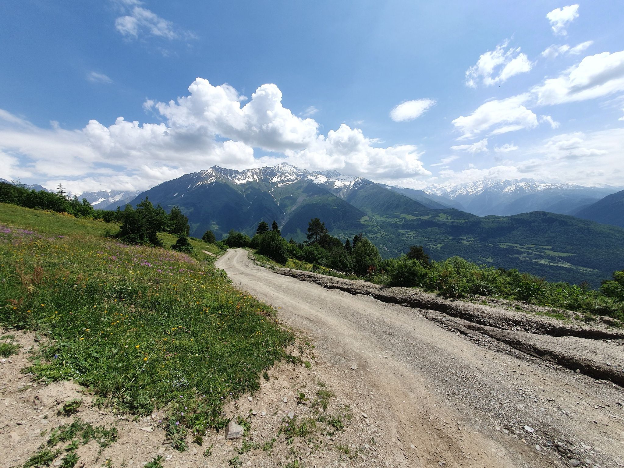 Straßenübergang freier Blick Baumgrenze