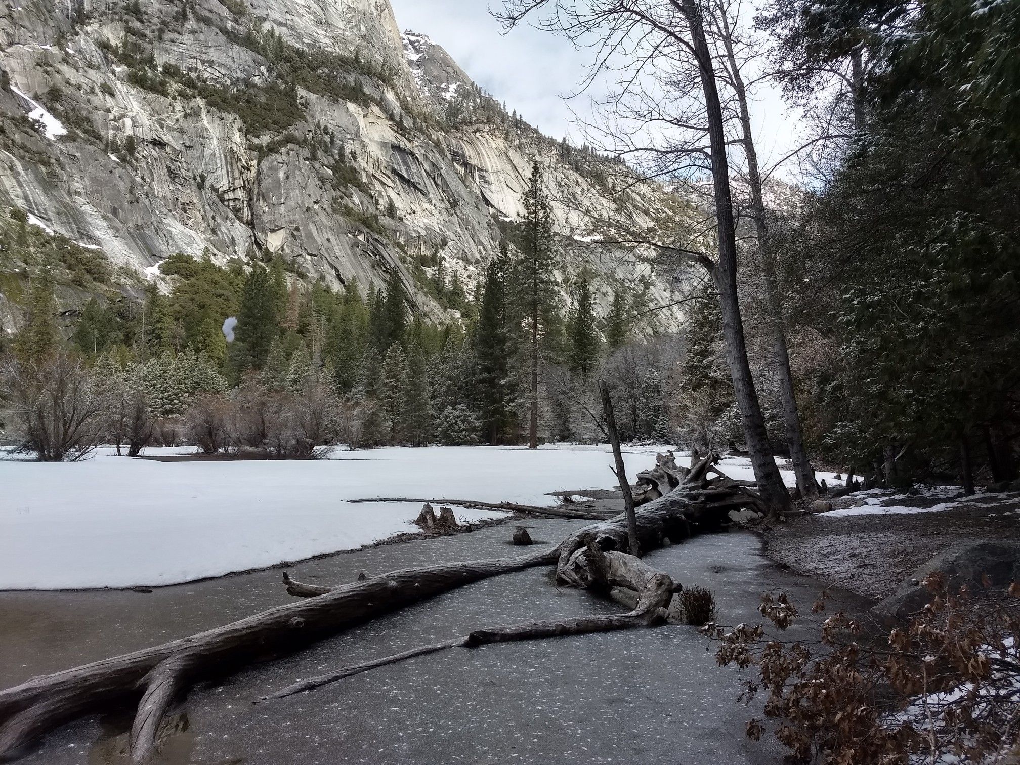 Frozen water with fallen logs, surrounded by snowy ground and a rocky mountain. - Yosemite Valley Loop Trail