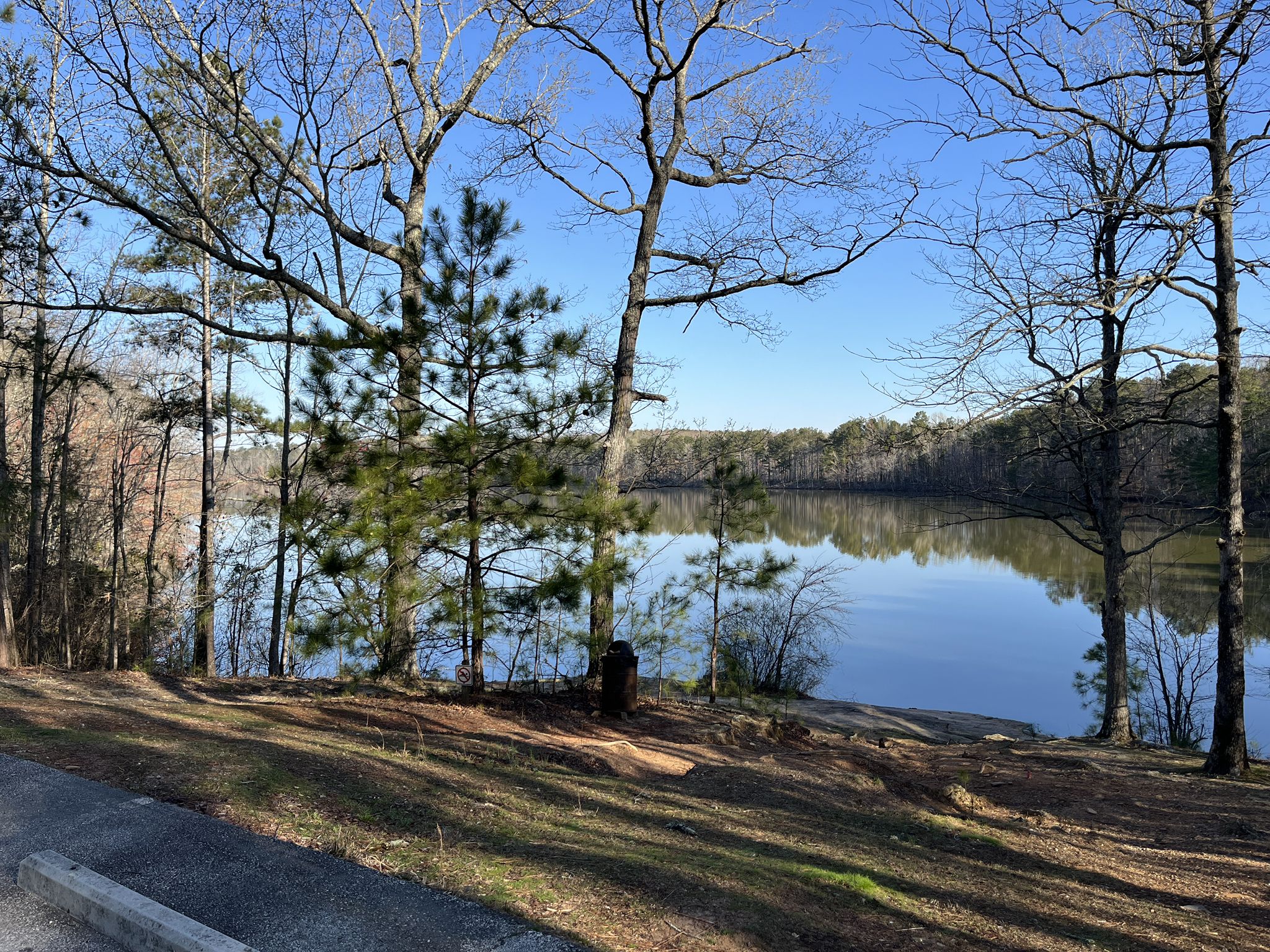 Calm lake surrounded by bare trees under a clear blue sky. - Sweetwater Creek Yellow Trail
