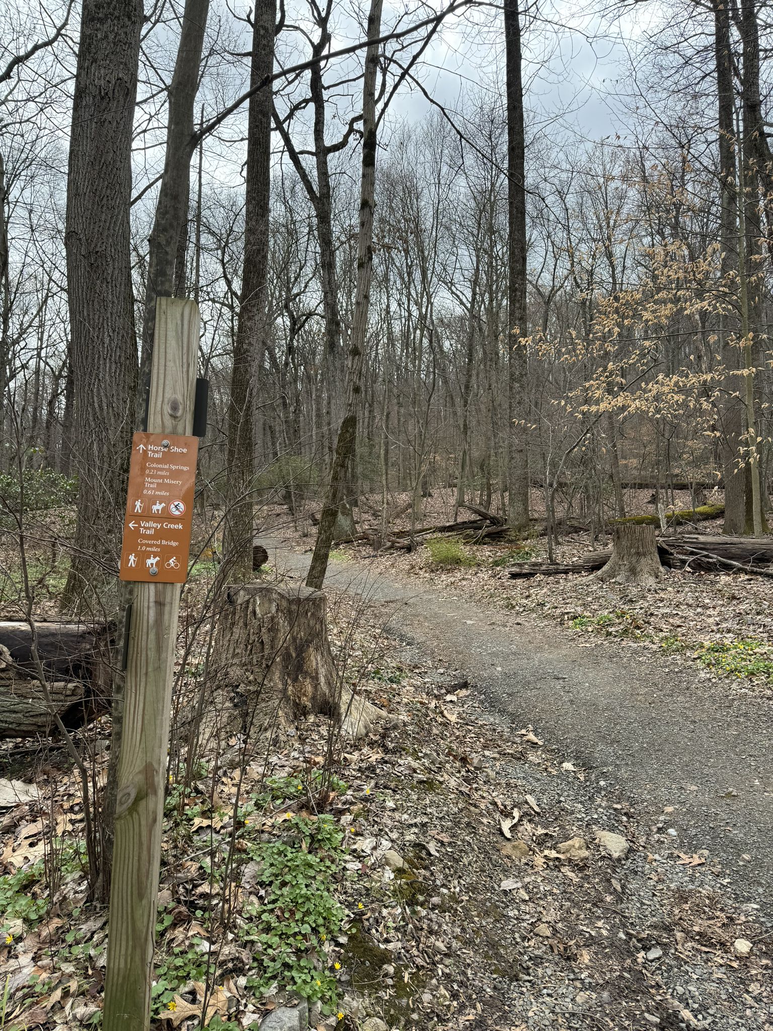 A trail sign next to a gravel path in a bare forest under an overcast sky. - Horse-Shoe Trail