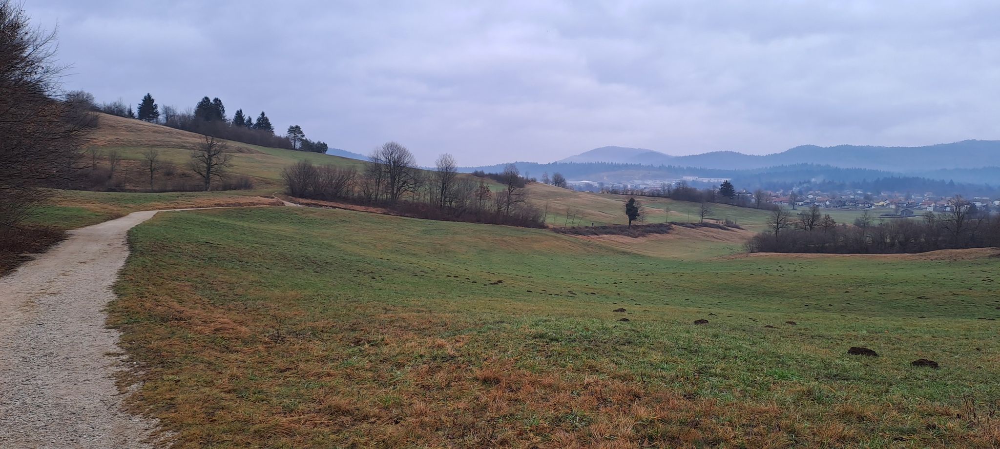 road from Logatec