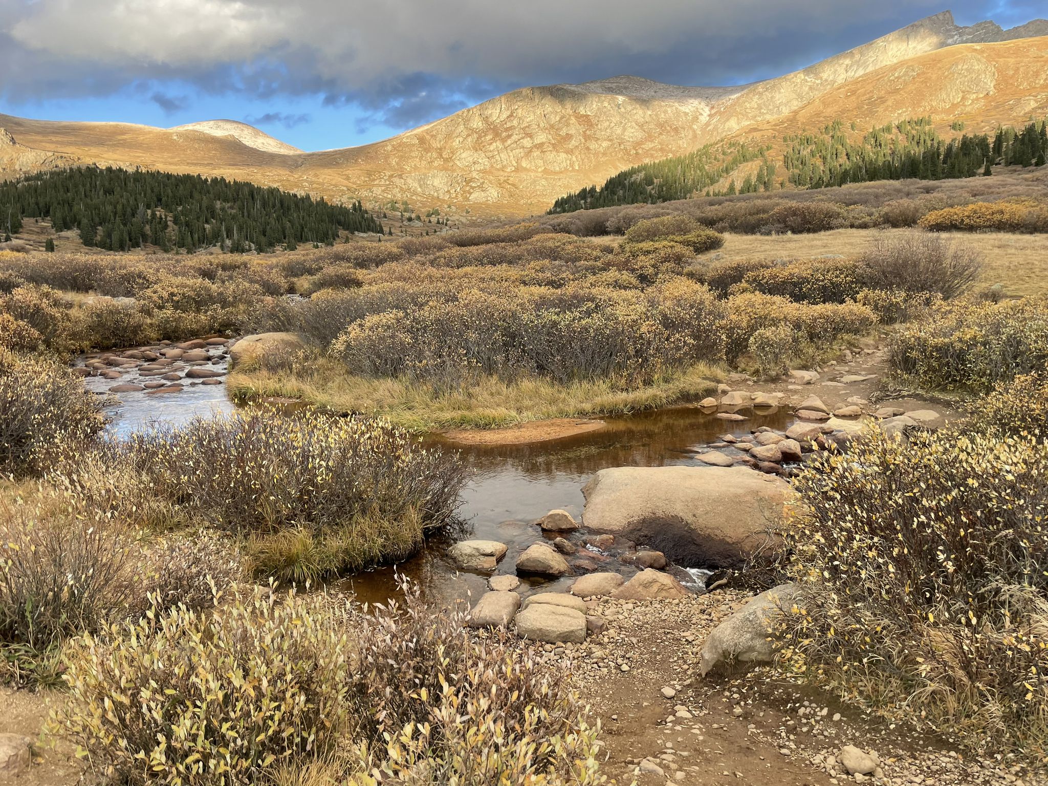 A winding stream through marshy terrain, with sunlit mountains in the distance. - Mount Bierstadt Trail