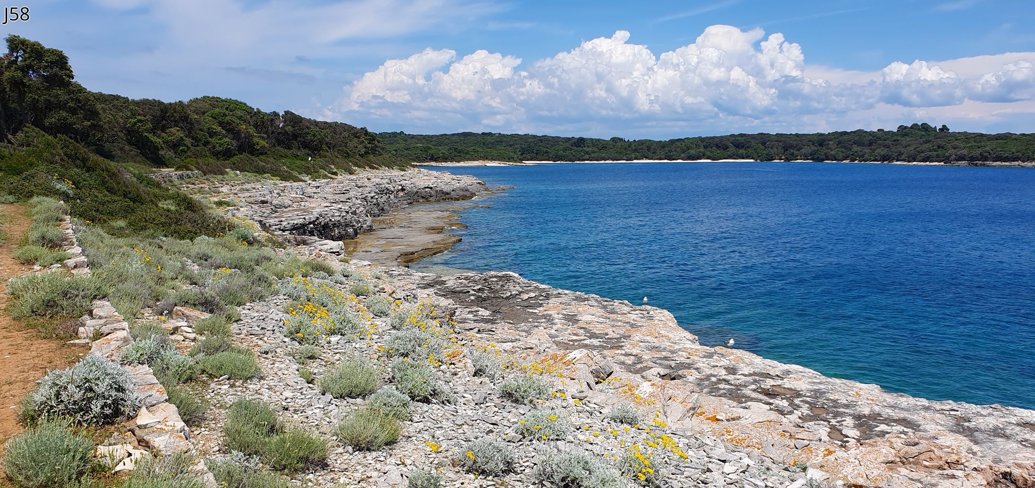 J58, Veliki Brijun, Uvala Javorika