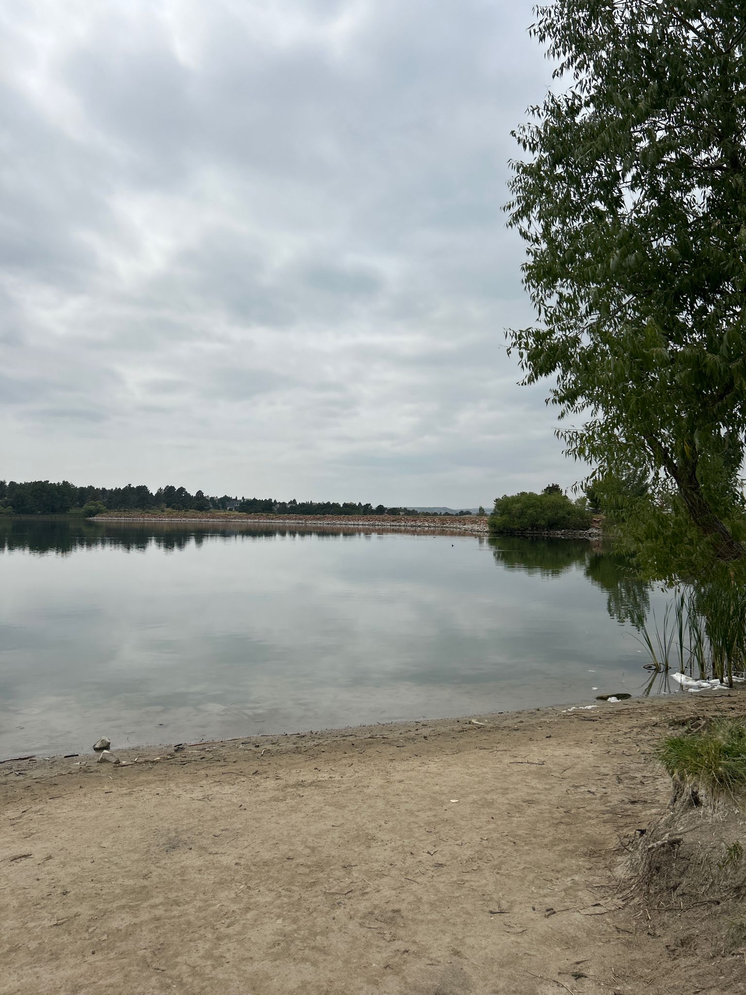 Overcast day at a calm lake with a sandy shore and green trees. - Bingham Lake Trail