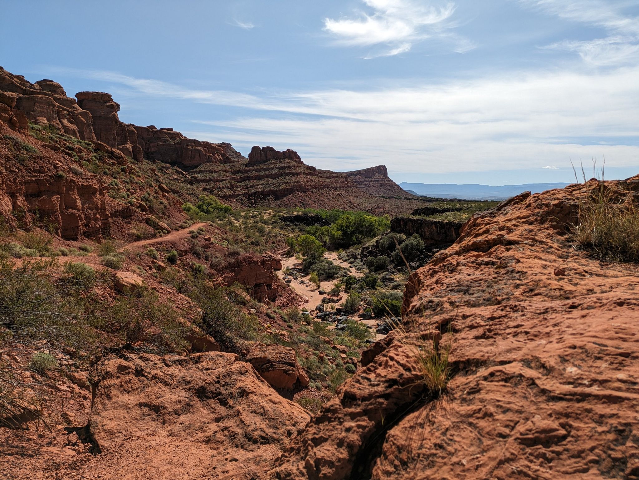 Panoramic view of a deep red rock canyon with a green oasis below. - Johnson Canyon Trail